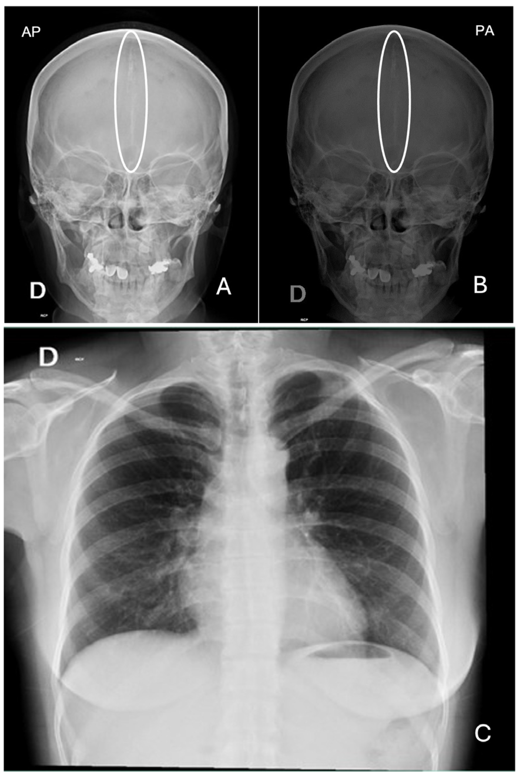 Reports 08 00034 g002