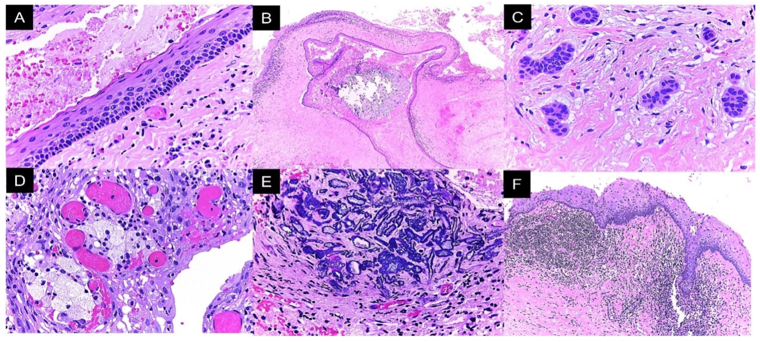 Reports 08 00034 g005