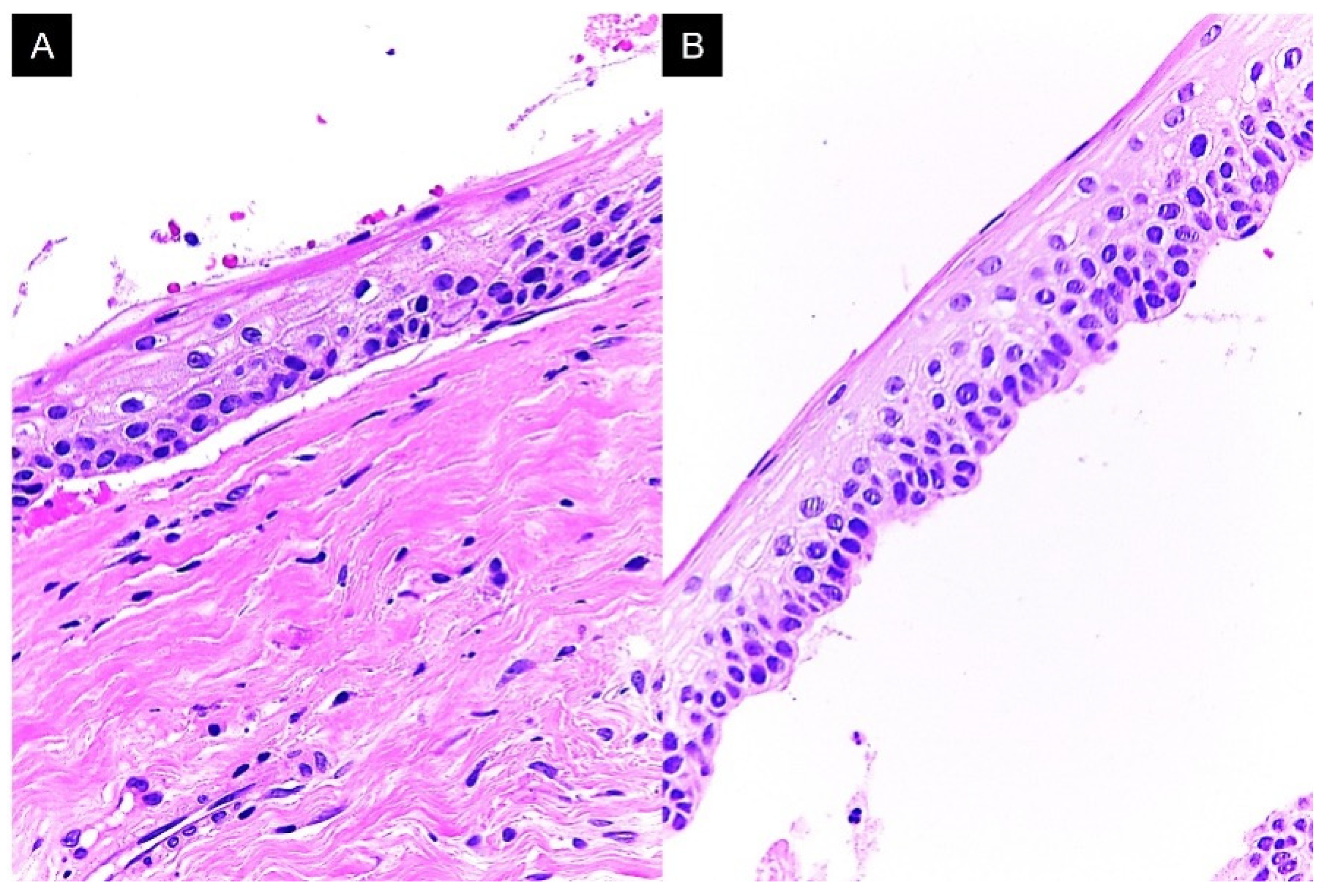 Reports 08 00034 g006