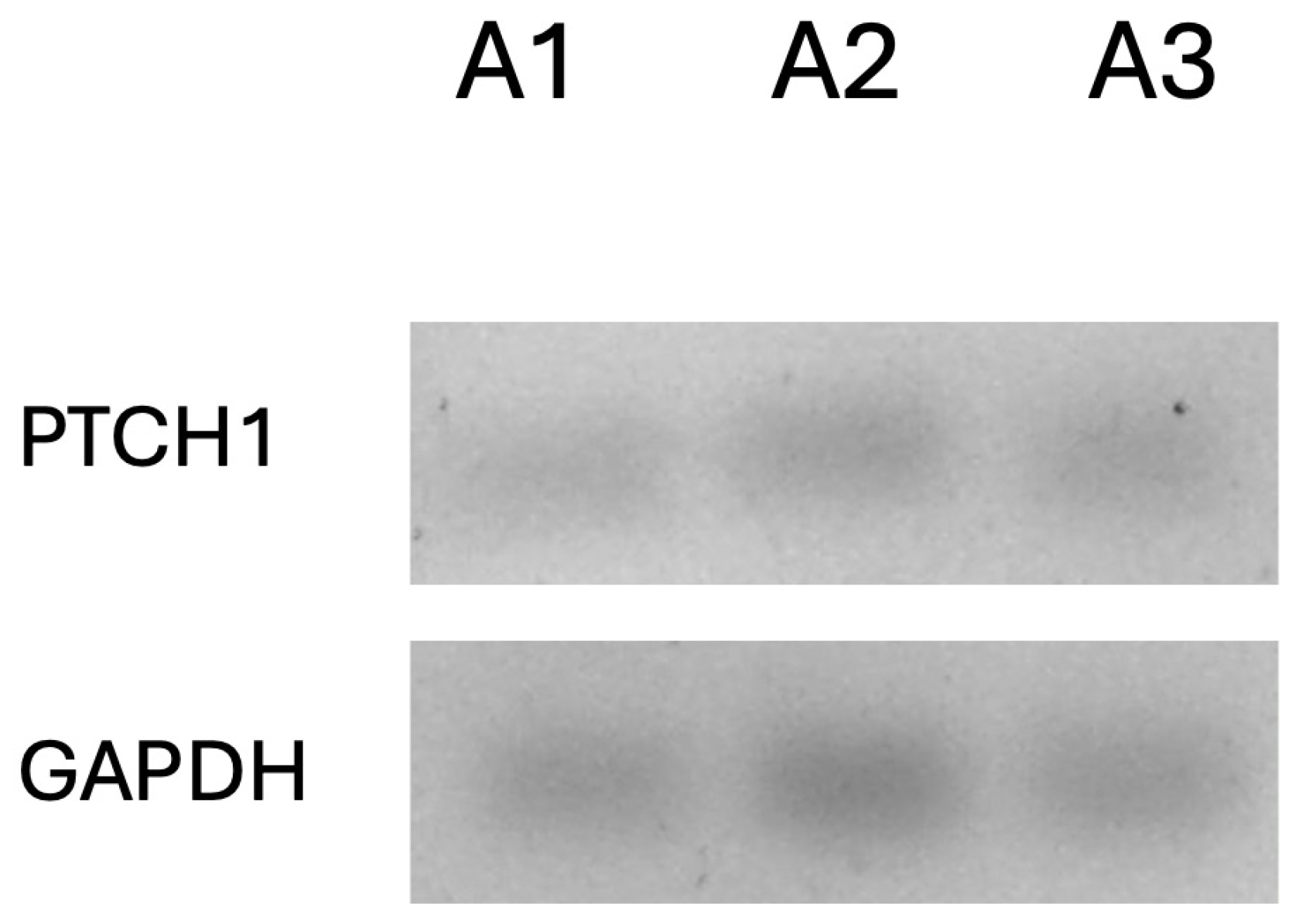 Reports 08 00034 g007