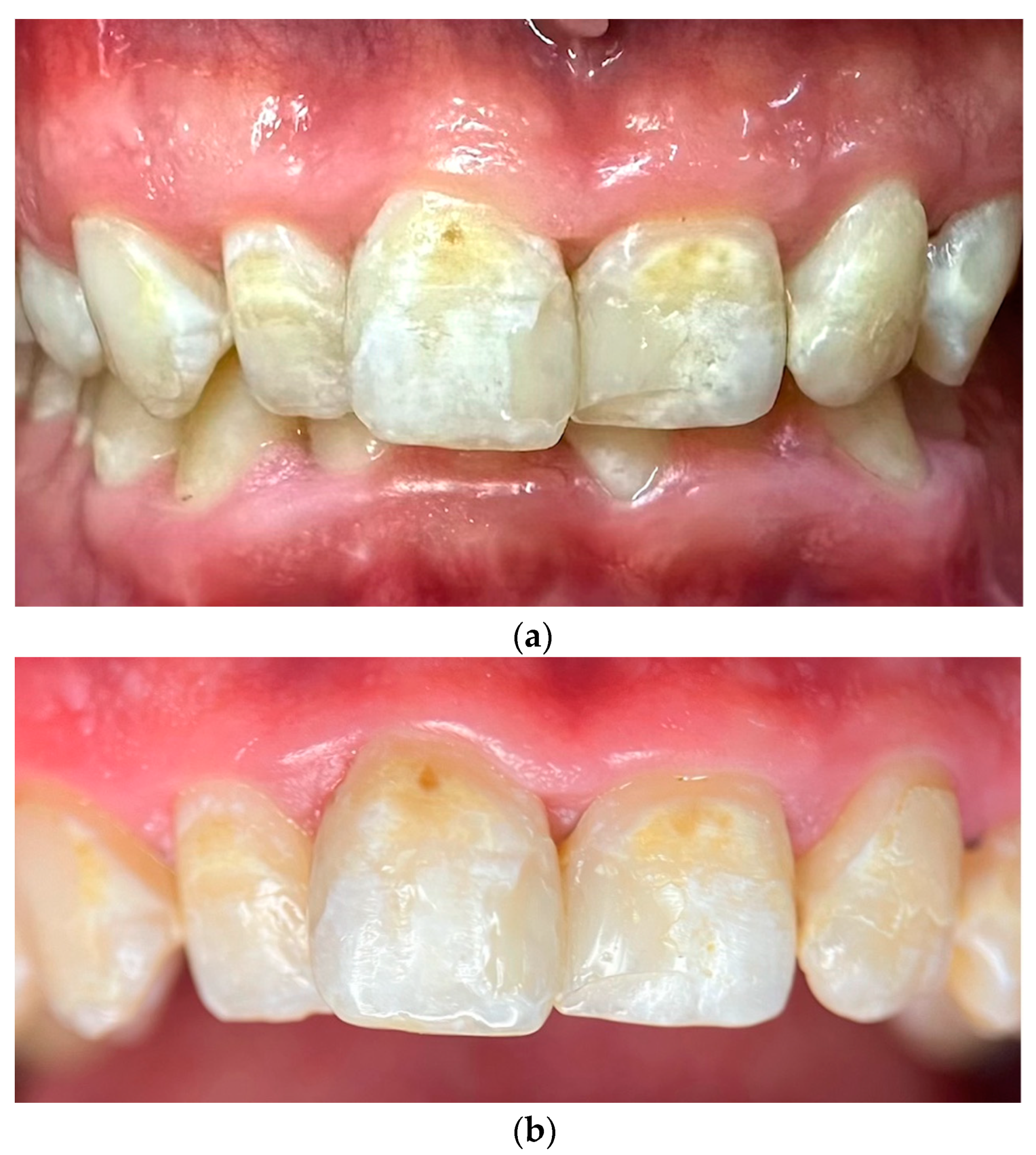 Reports 08 00039 g001