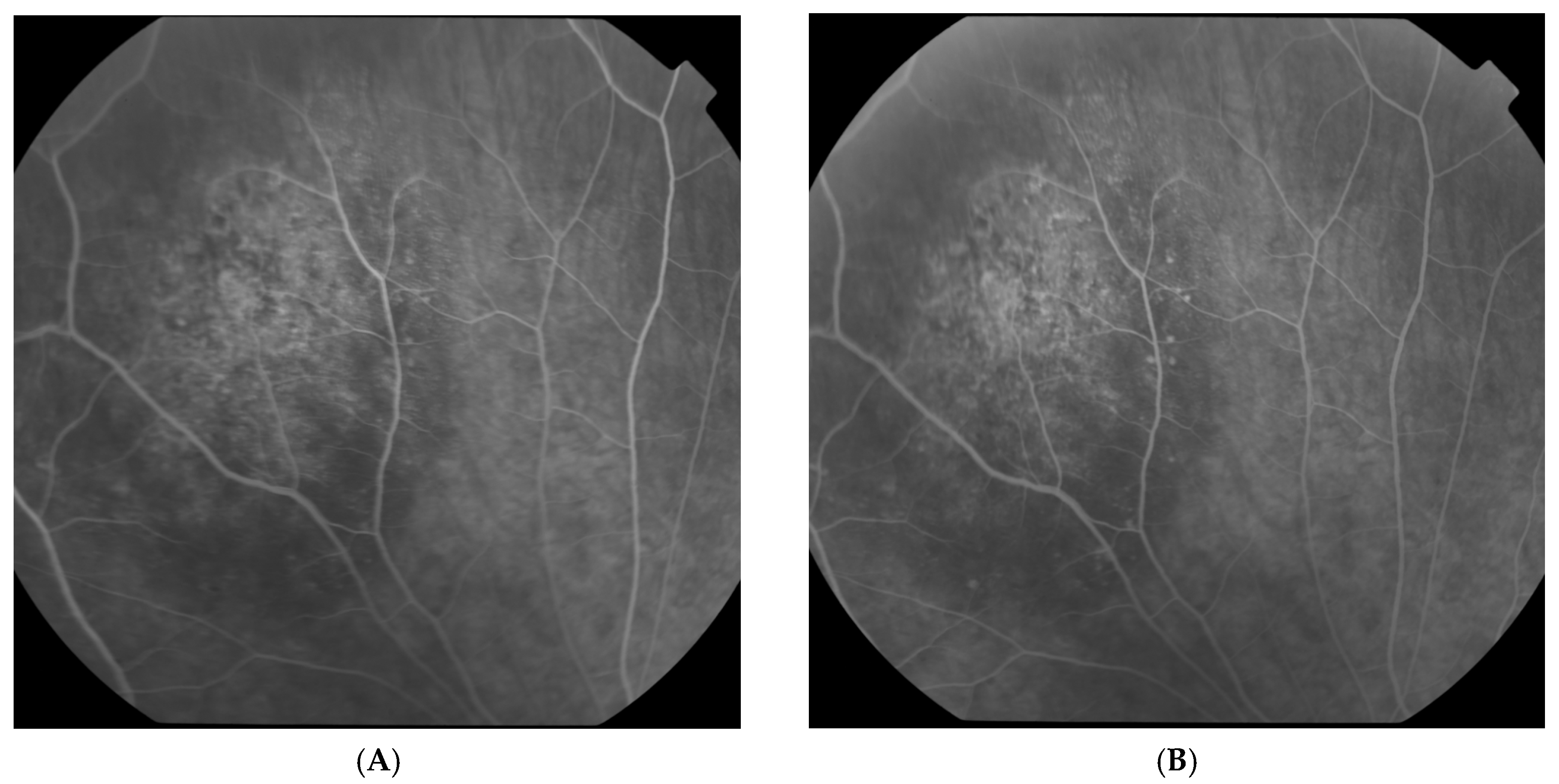 Reports 08 00041 g002