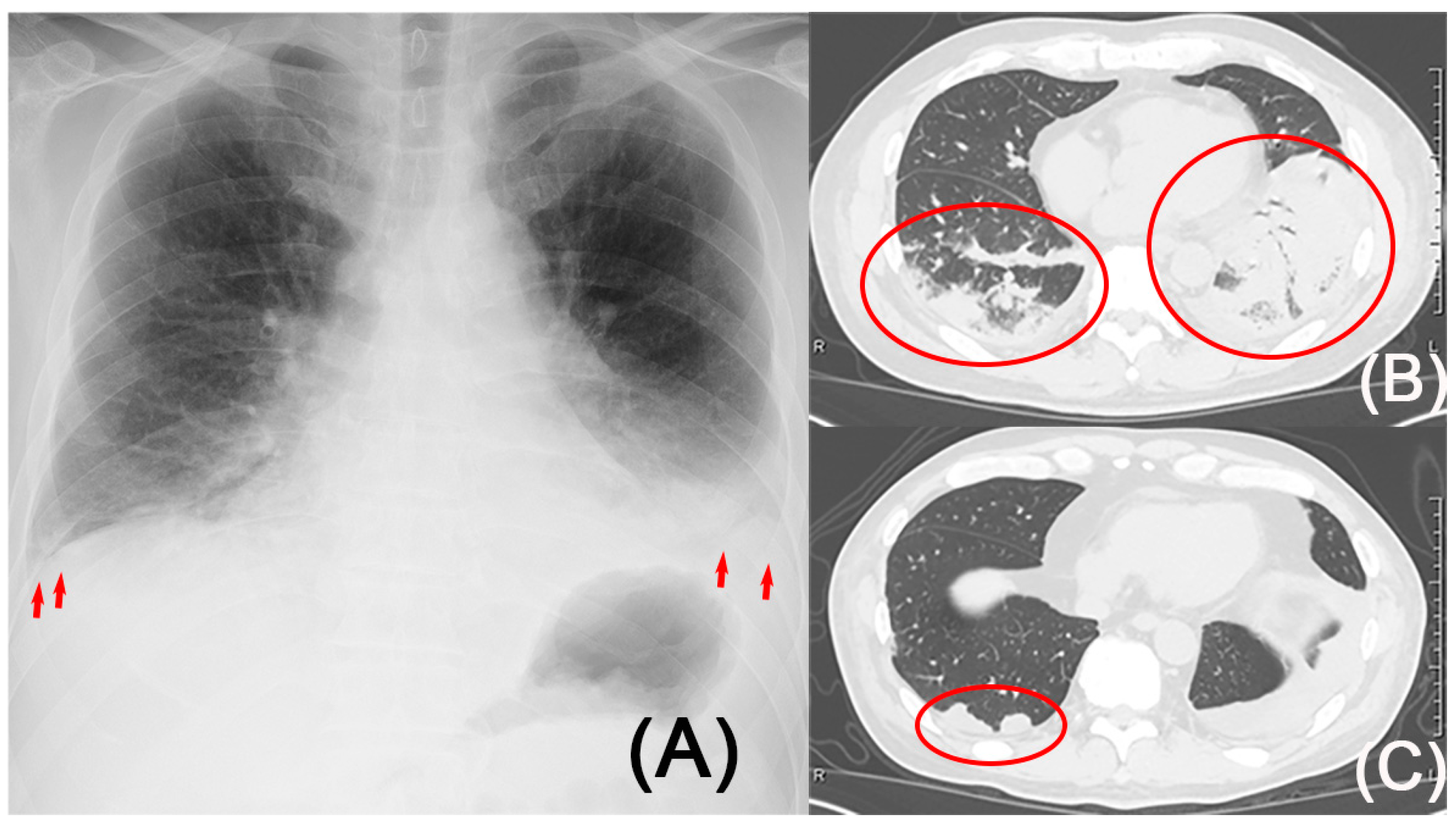 Reports 08 00042 g001