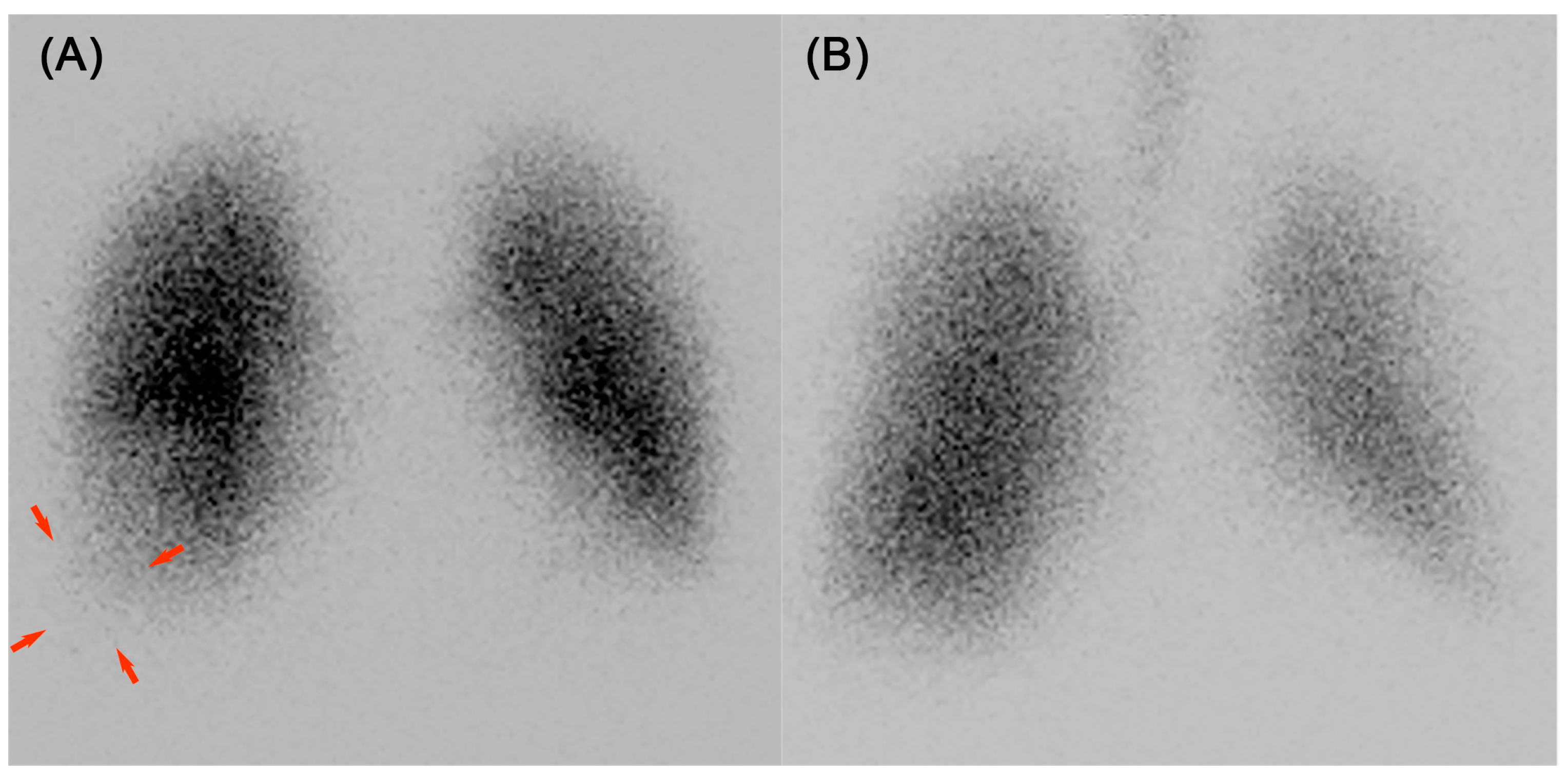 Reports 08 00042 g002