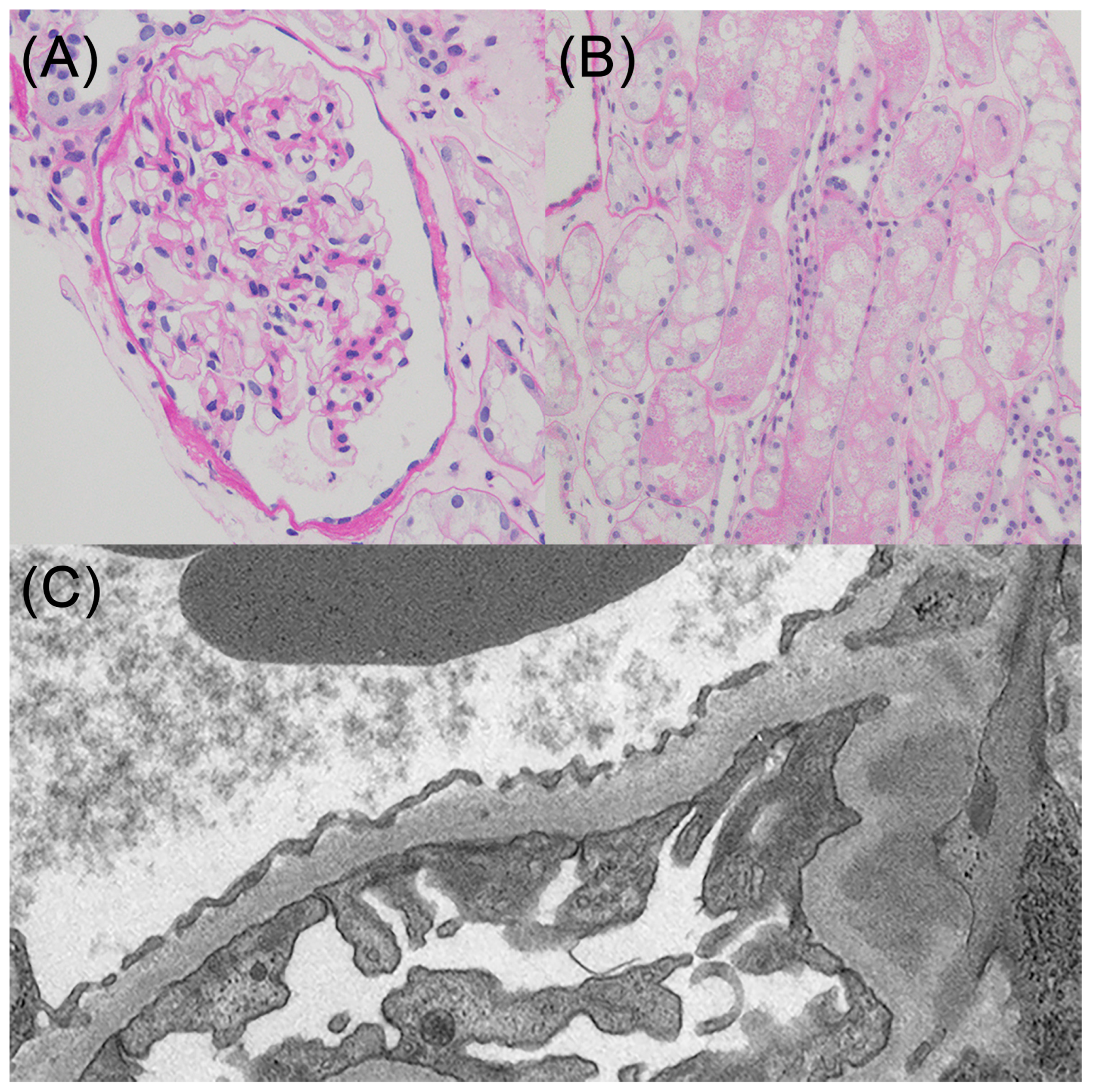 Reports 08 00042 g003