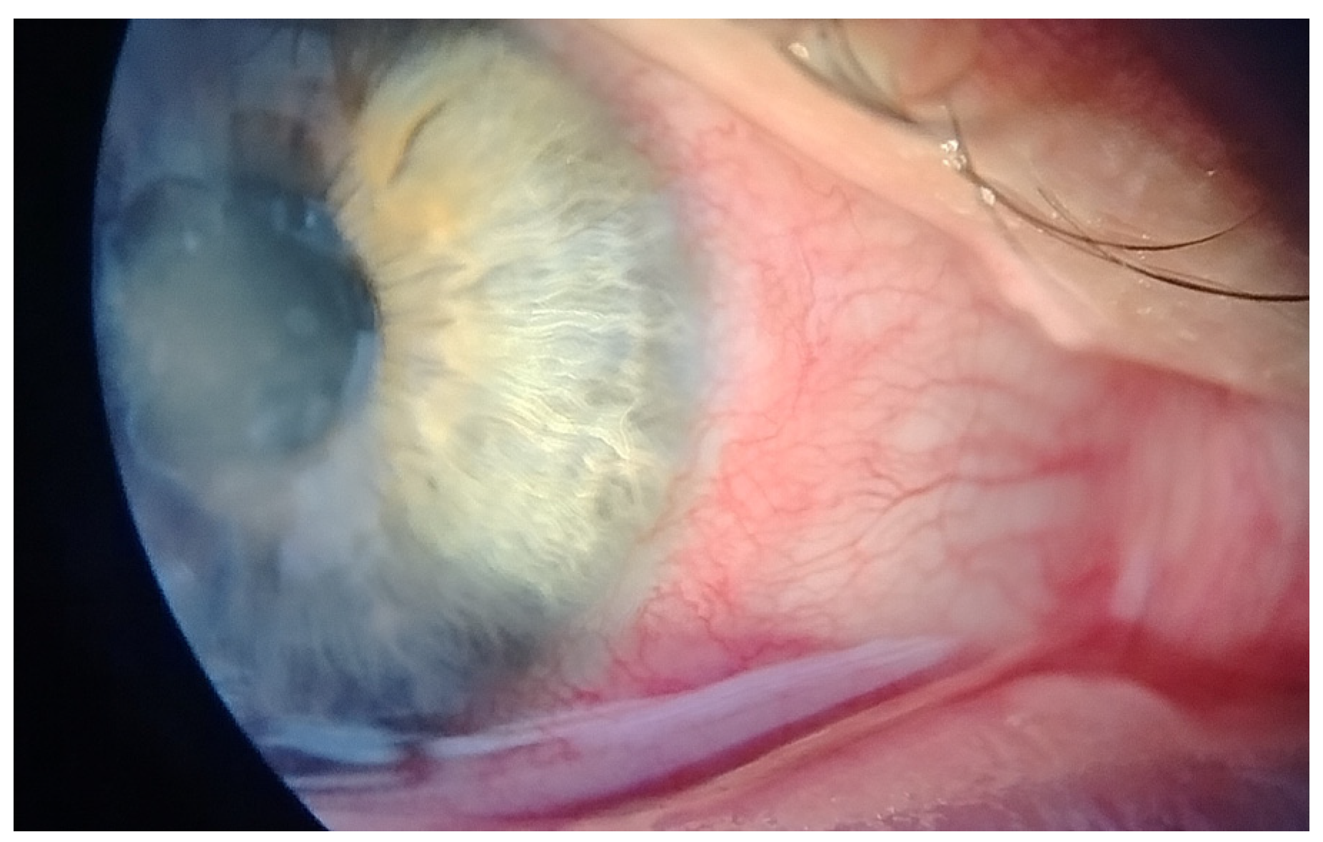 Reports 08 00044 g001