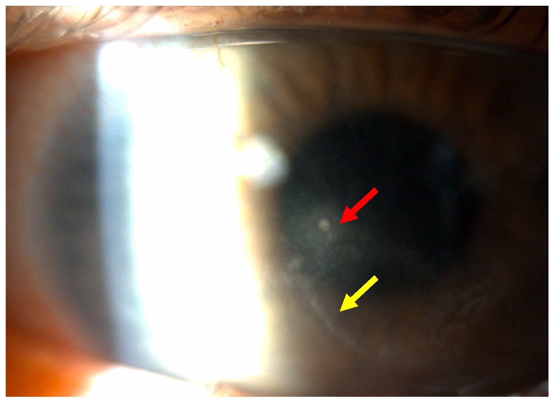 Reports 08 00044 g002