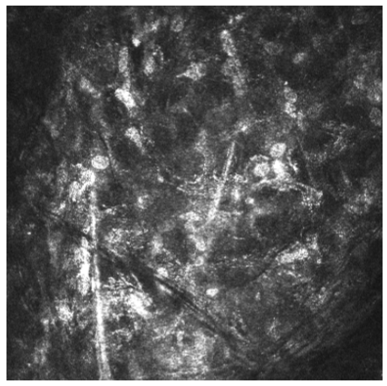 Reports 08 00044 g004