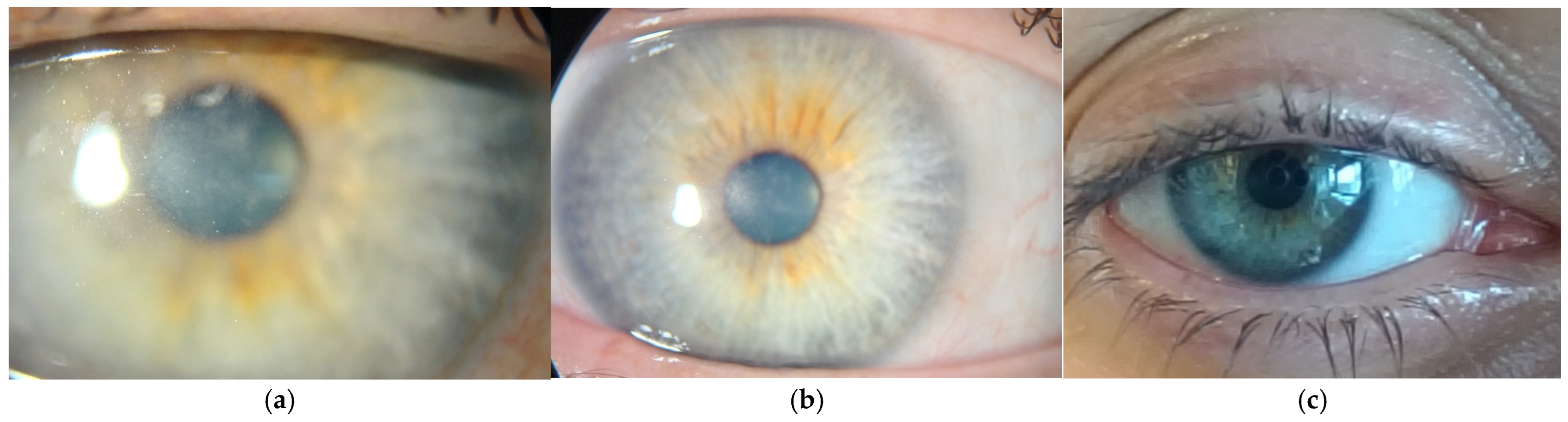 Reports 08 00044 g005