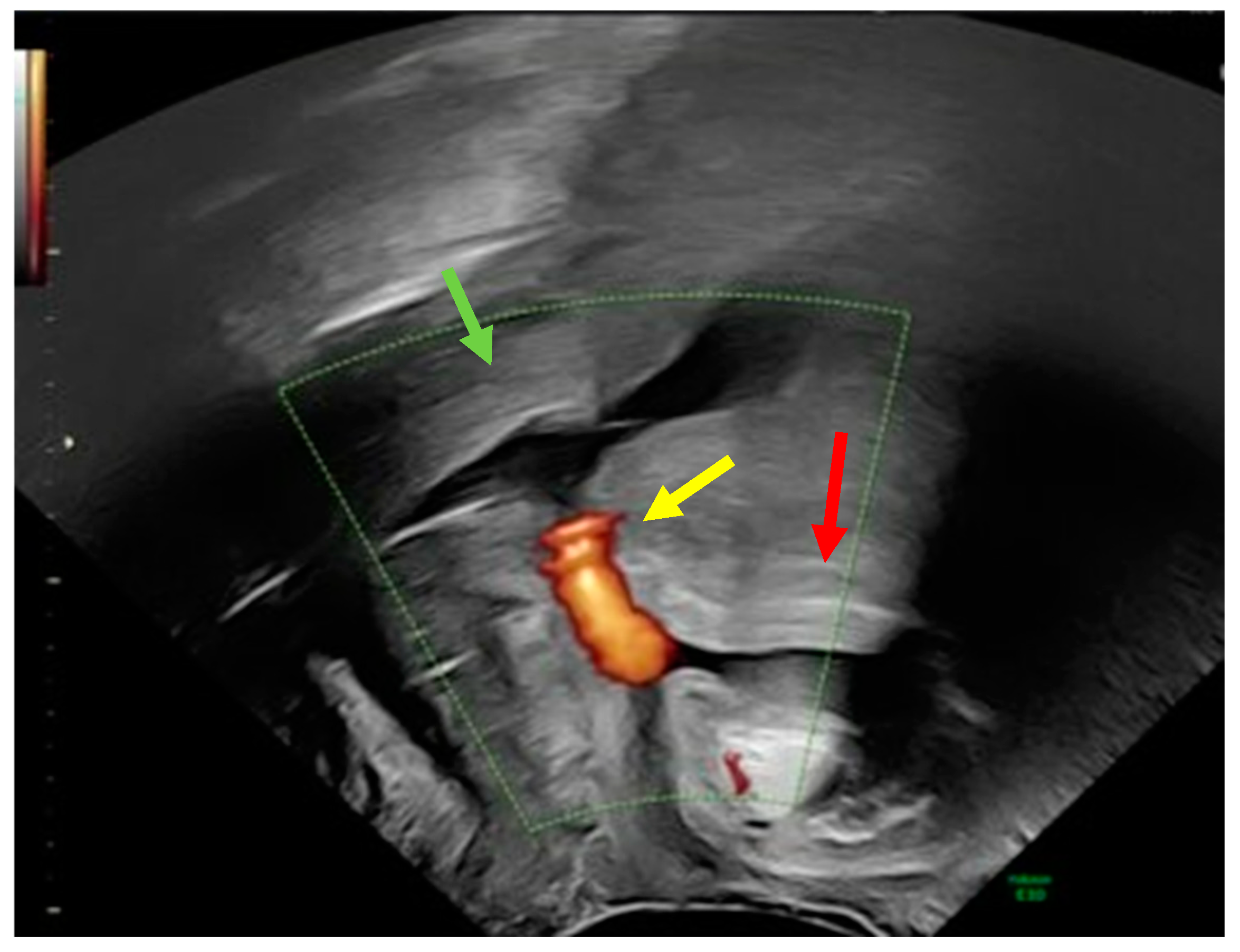 Reports 08 00046 g001