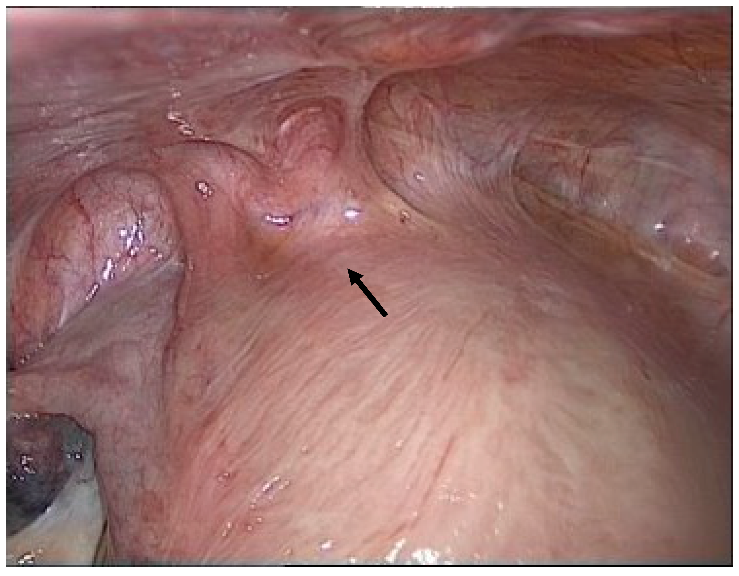 Reports 08 00046 g002