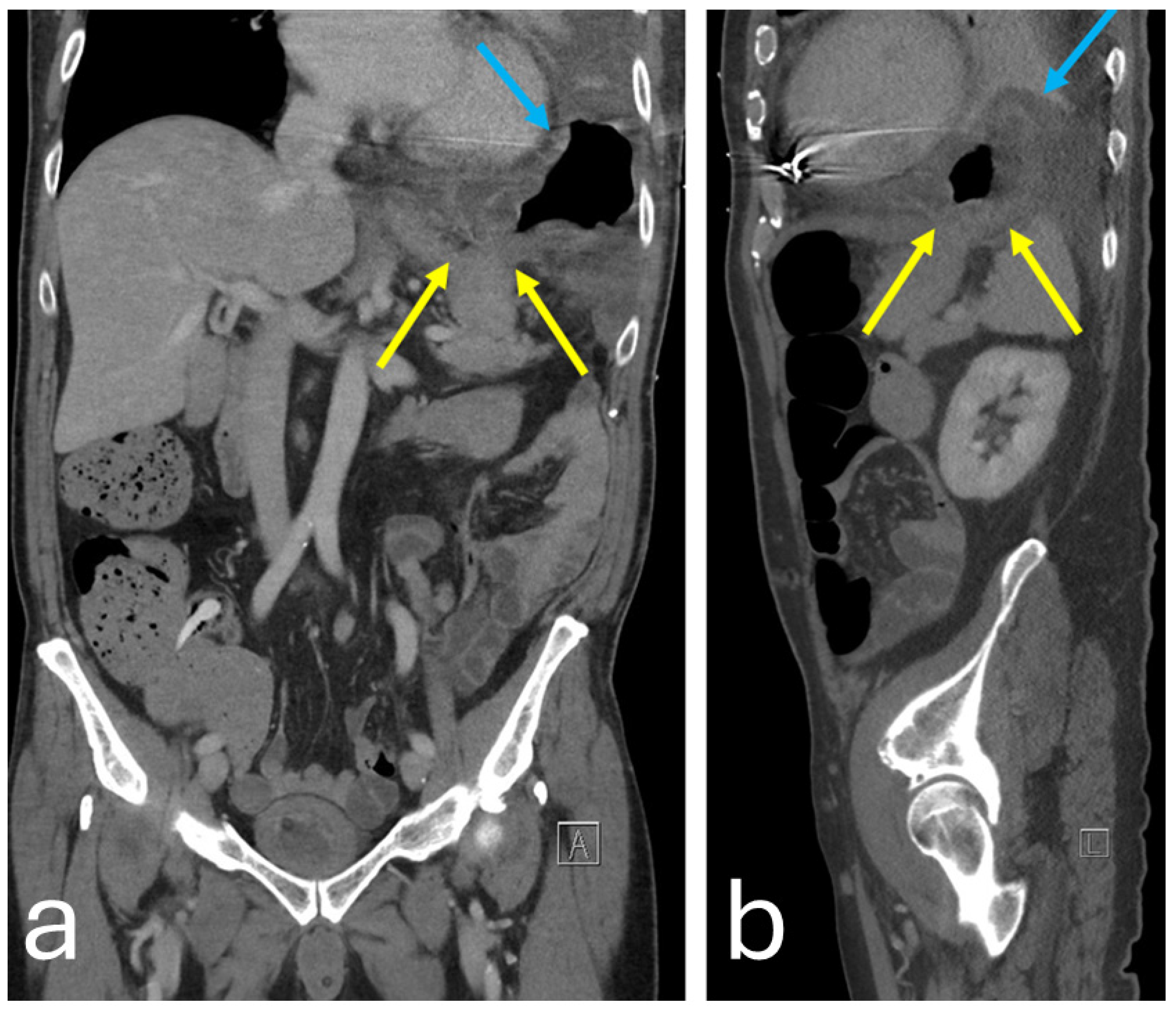 Reports 08 00048 g003