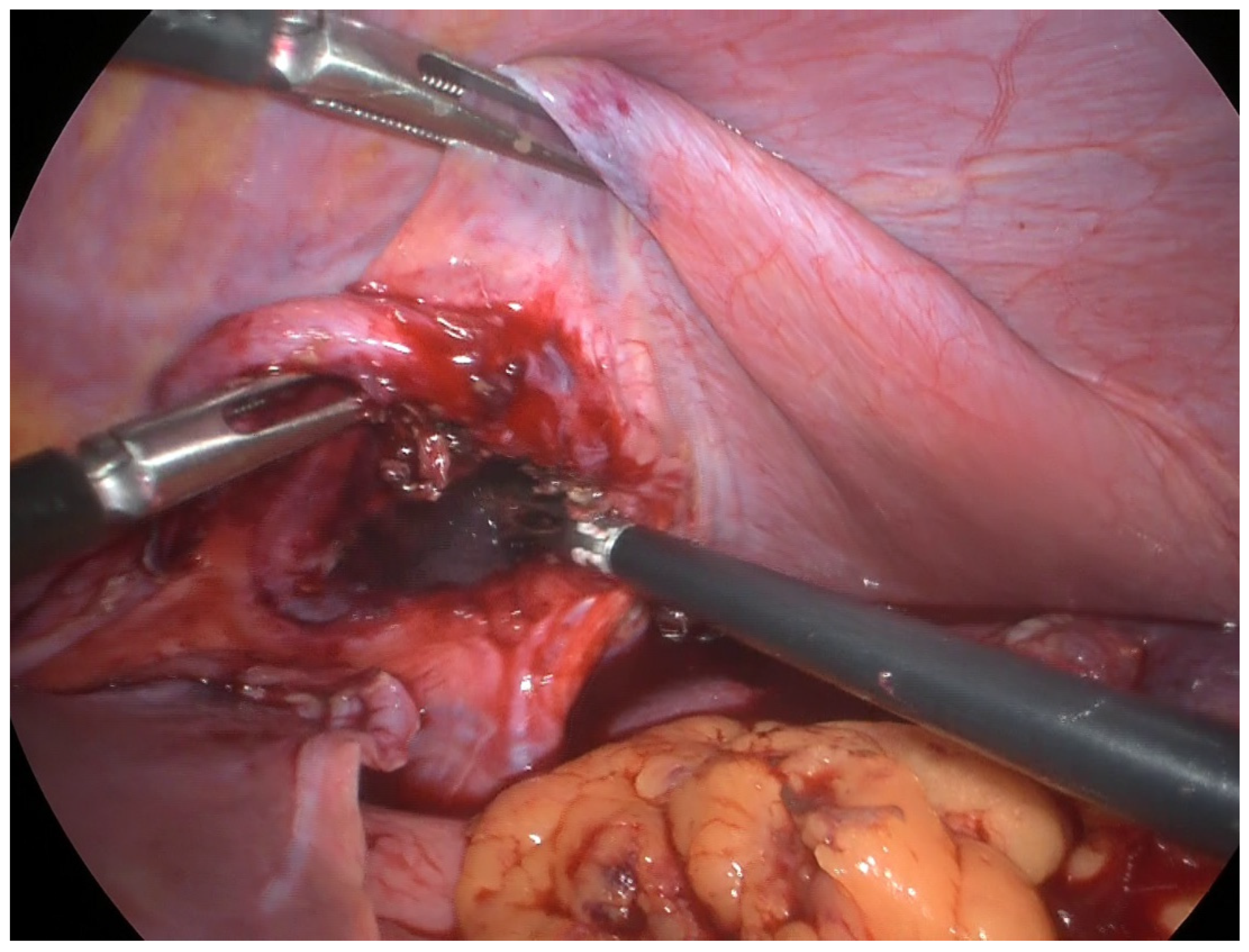 Reports 08 00048 g004