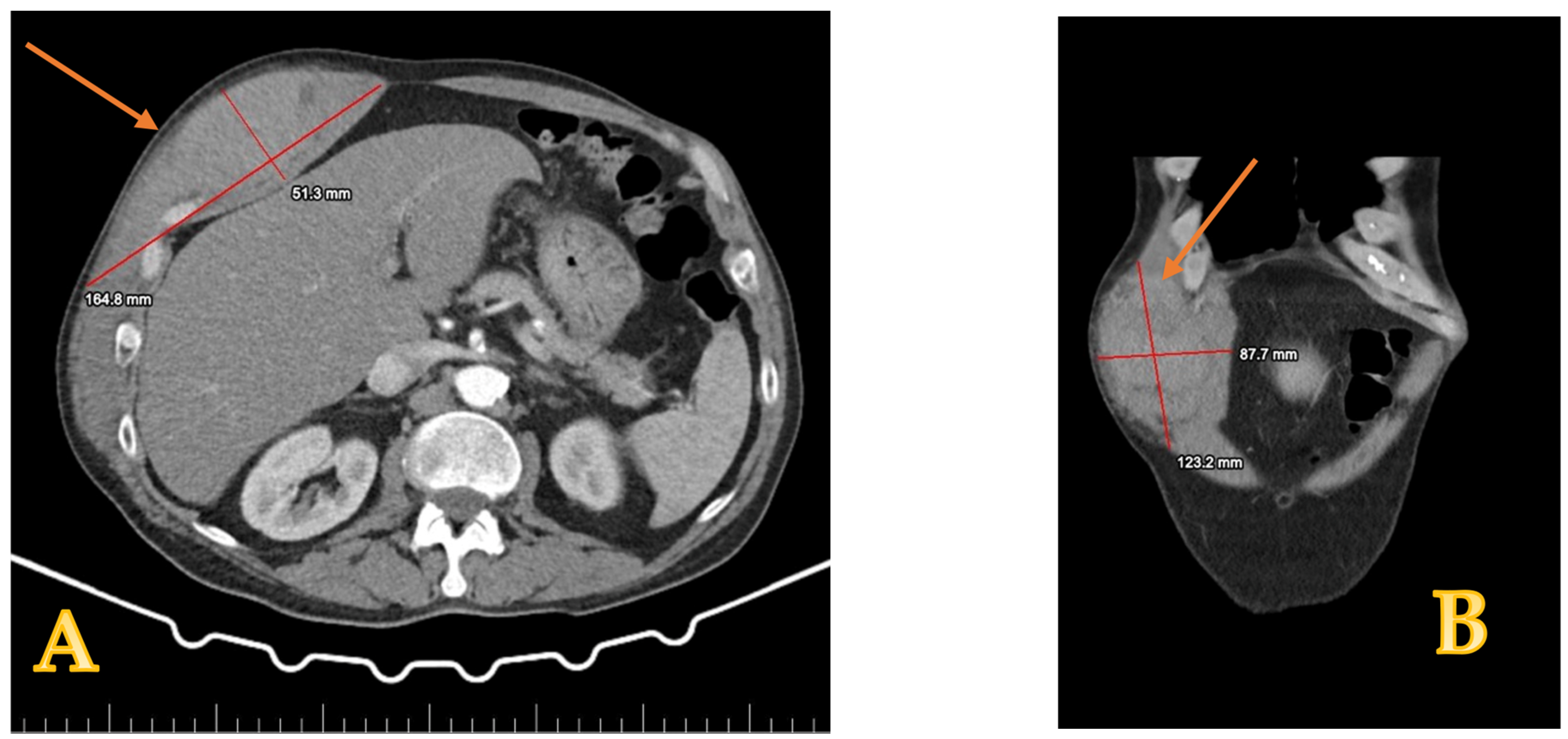 Reports 08 00049 g001 Reports 08 00049 g001