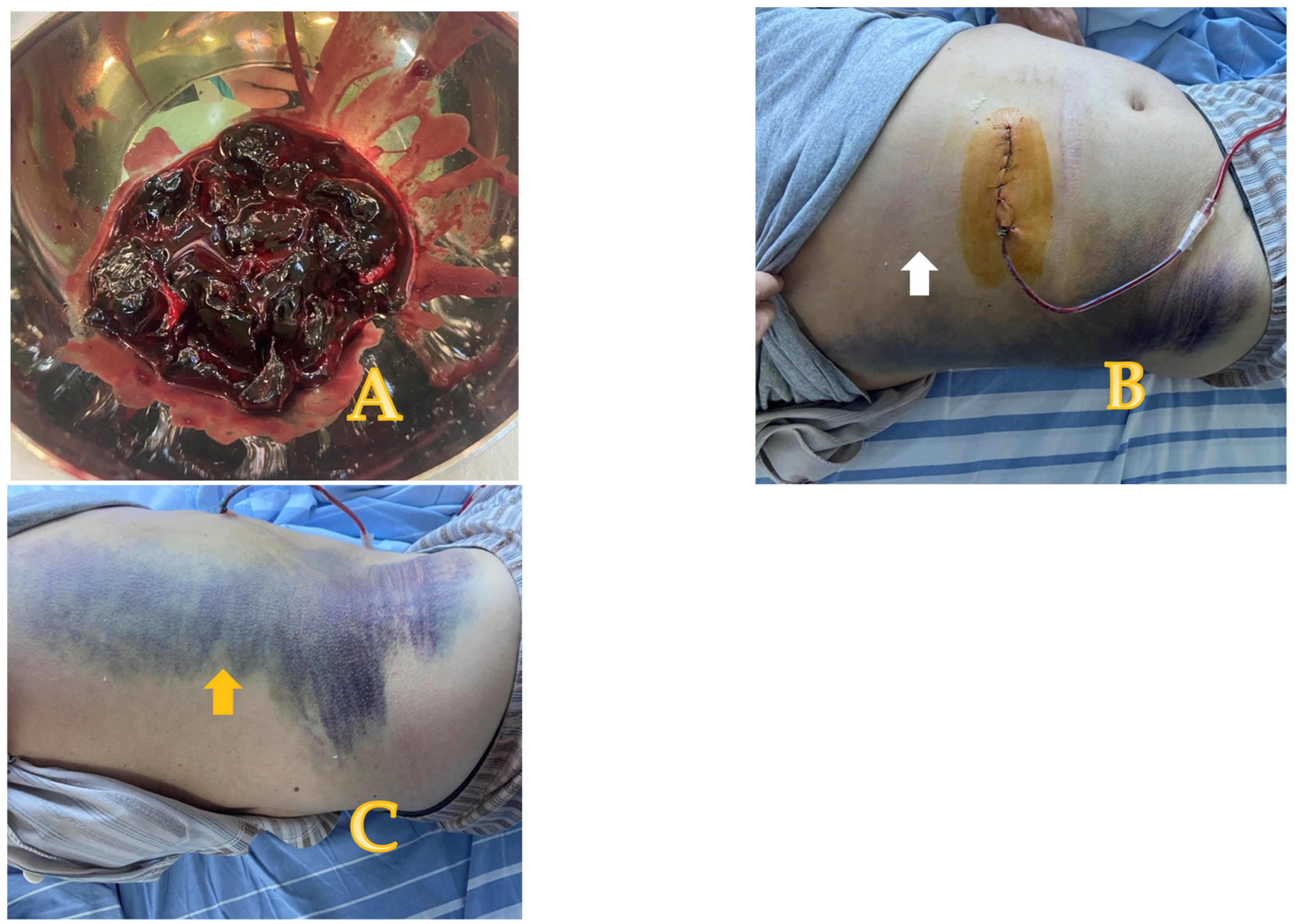 Reports 08 00049 g002 Reports 08 00049 g002