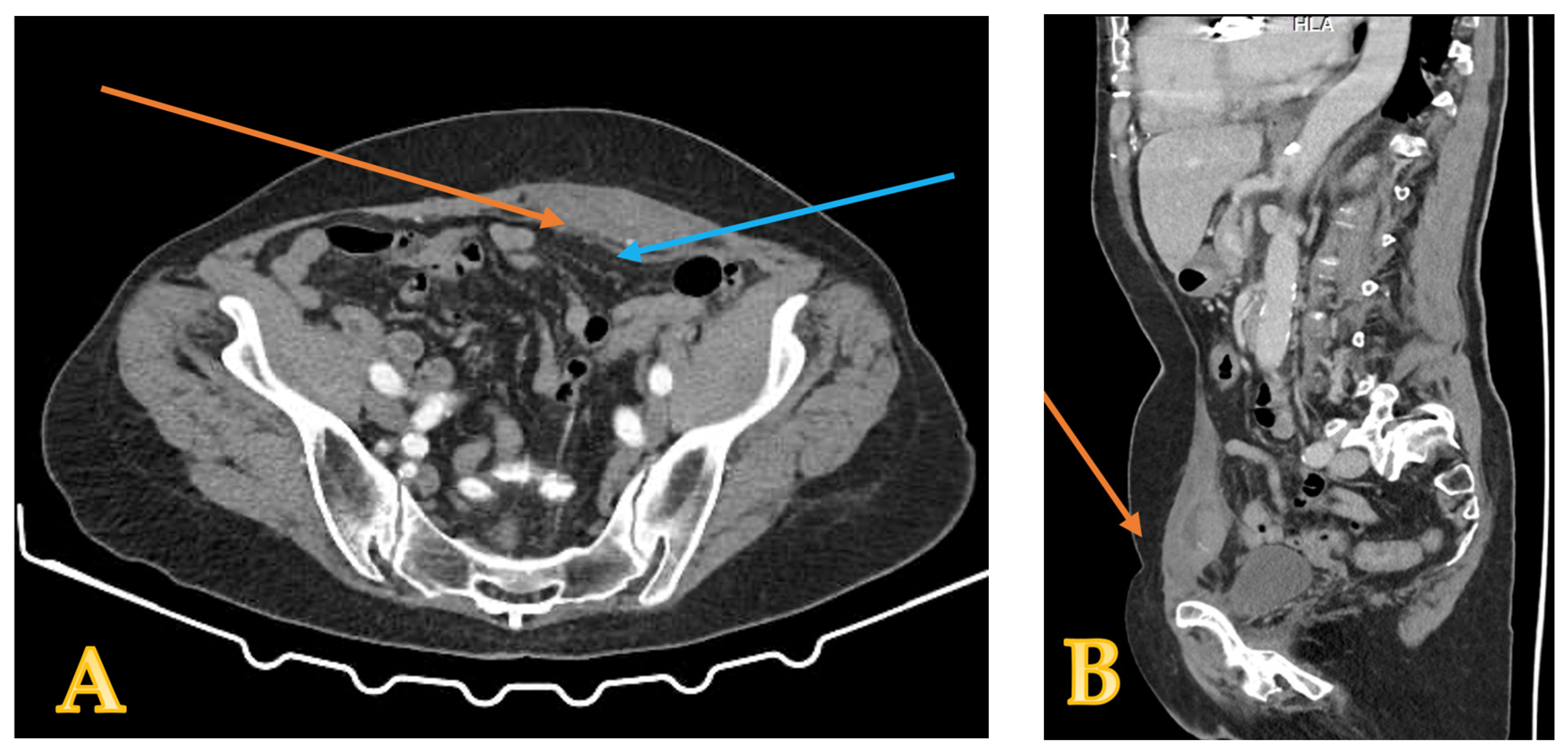 Reports 08 00049 g003 Reports 08 00049 g003