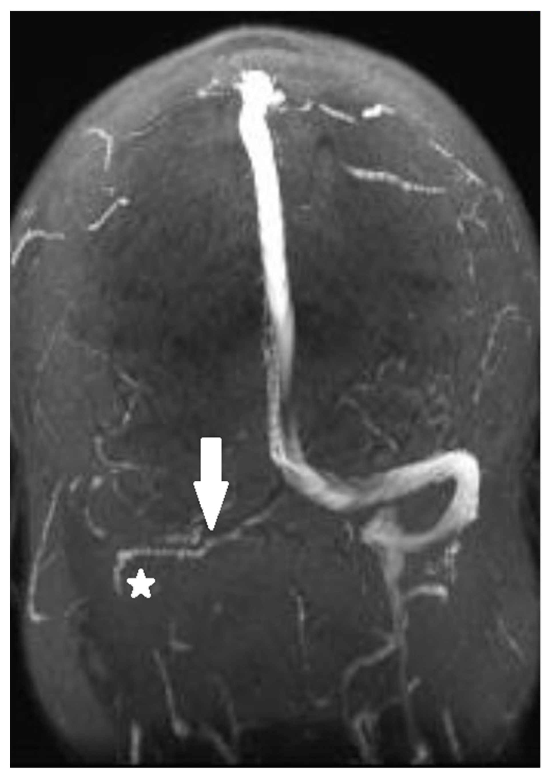 Reports 08 00050 g001