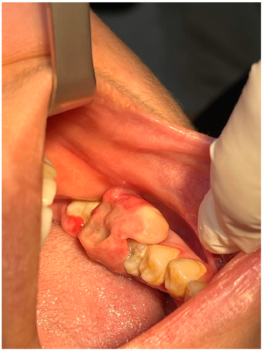 Reports 08 00052 g001 Reports 08 00052 g001