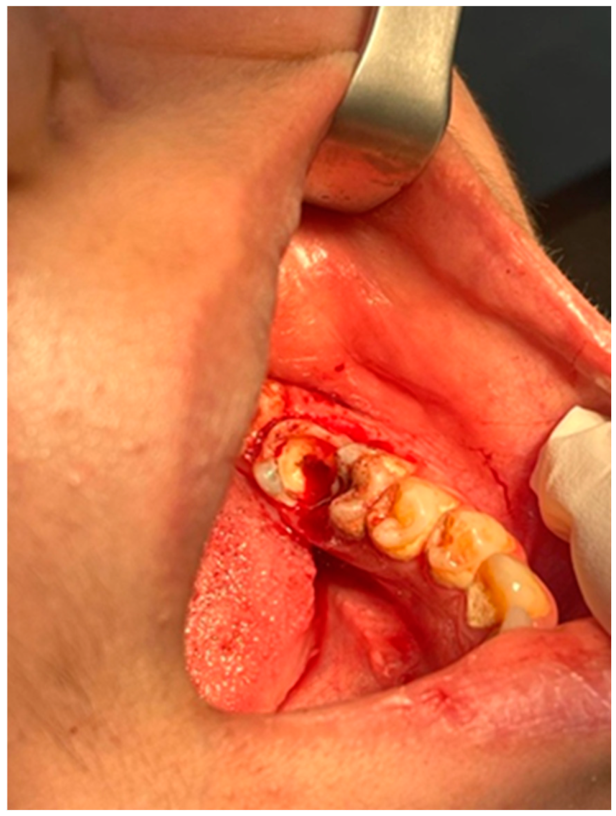 Reports 08 00052 g003 Reports 08 00052 g003