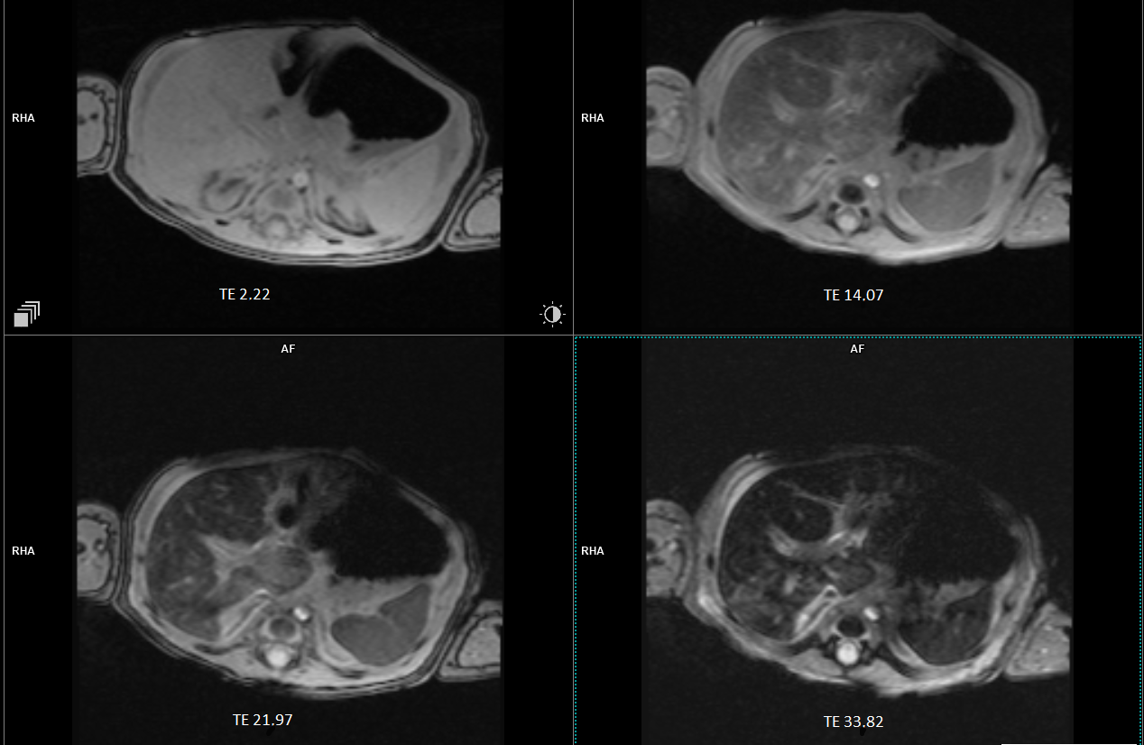 Reports 08 00053 g001