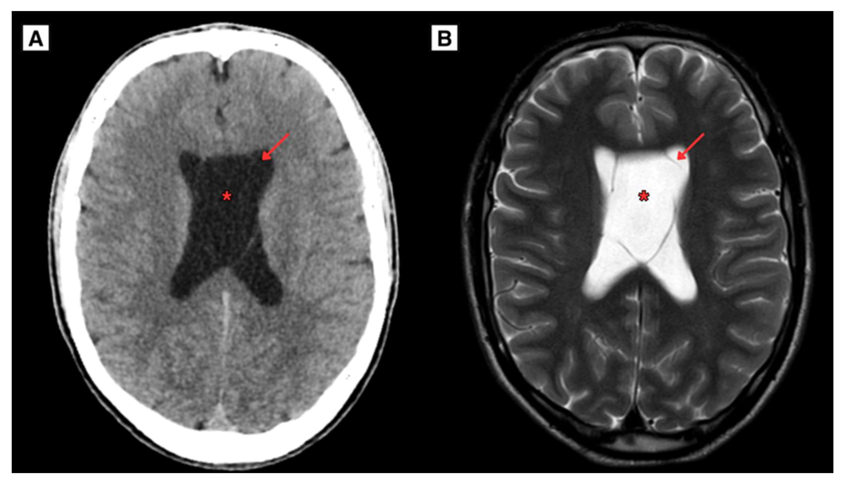 Reports 08 00054 g001