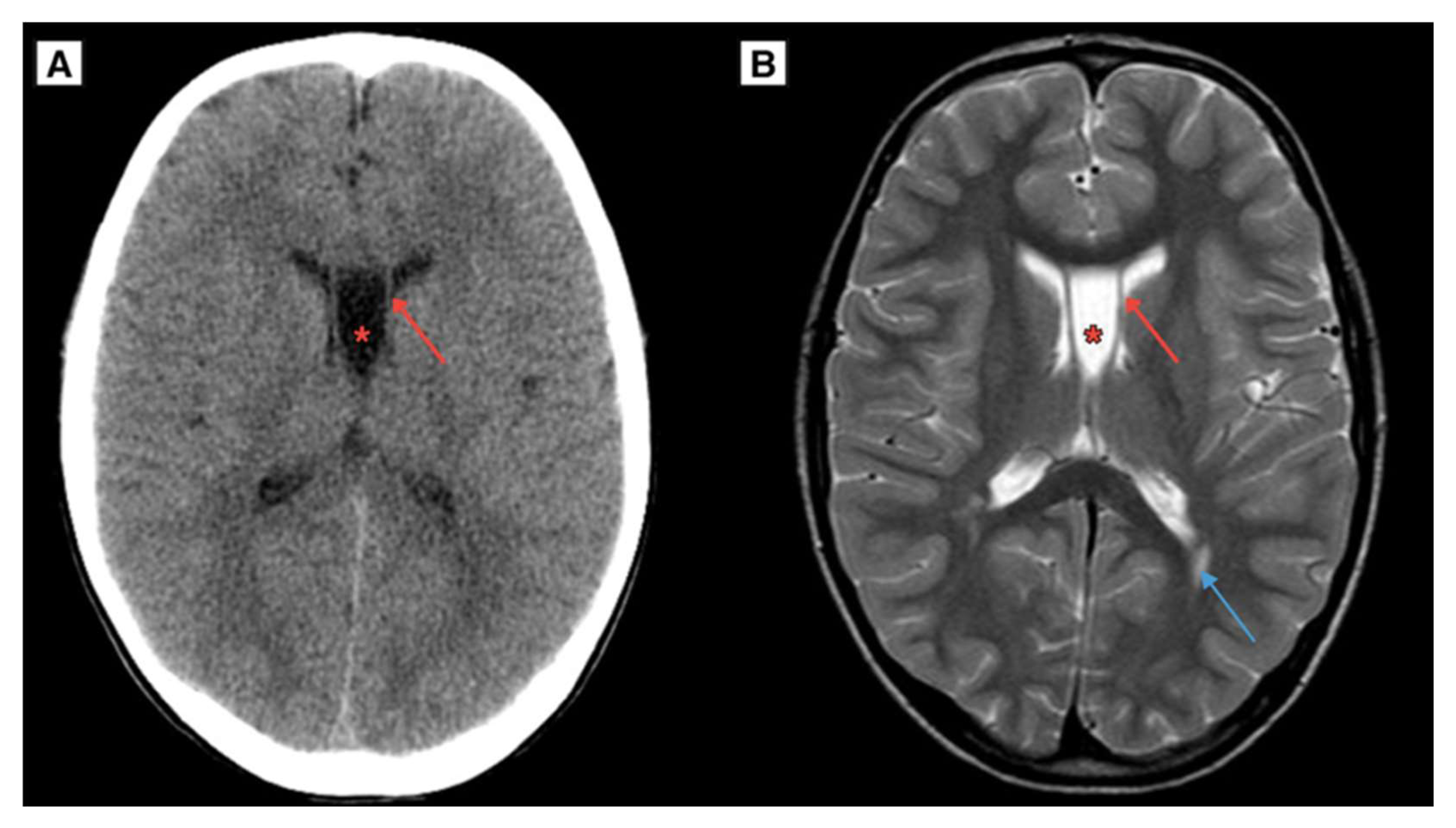 Reports 08 00054 g004