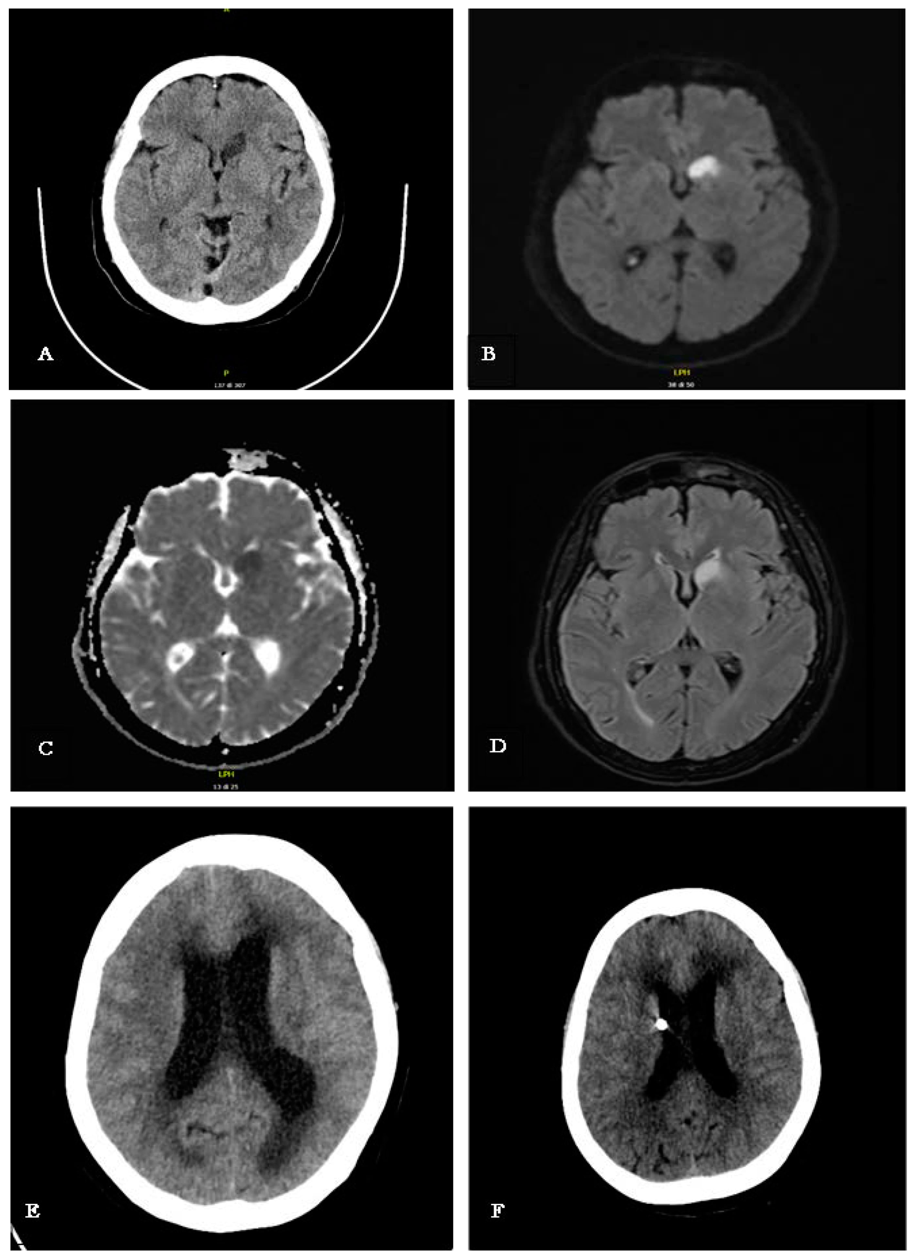 Reports 08 00055 g001