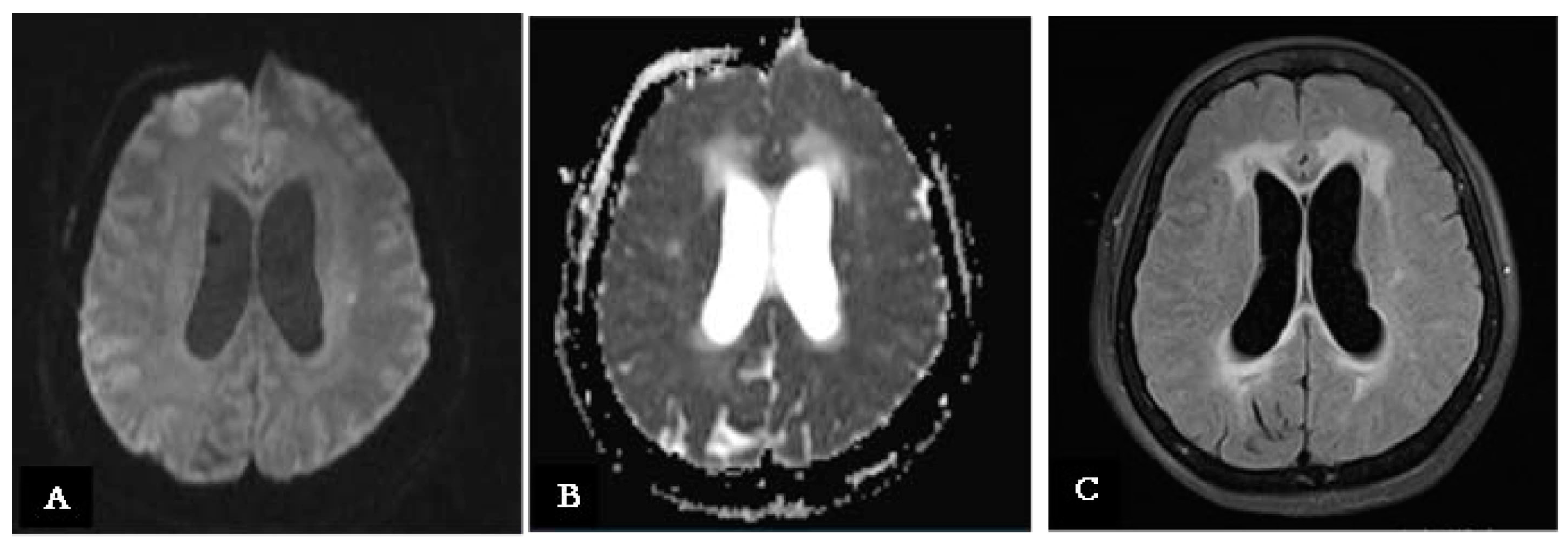 Reports 08 00055 g003