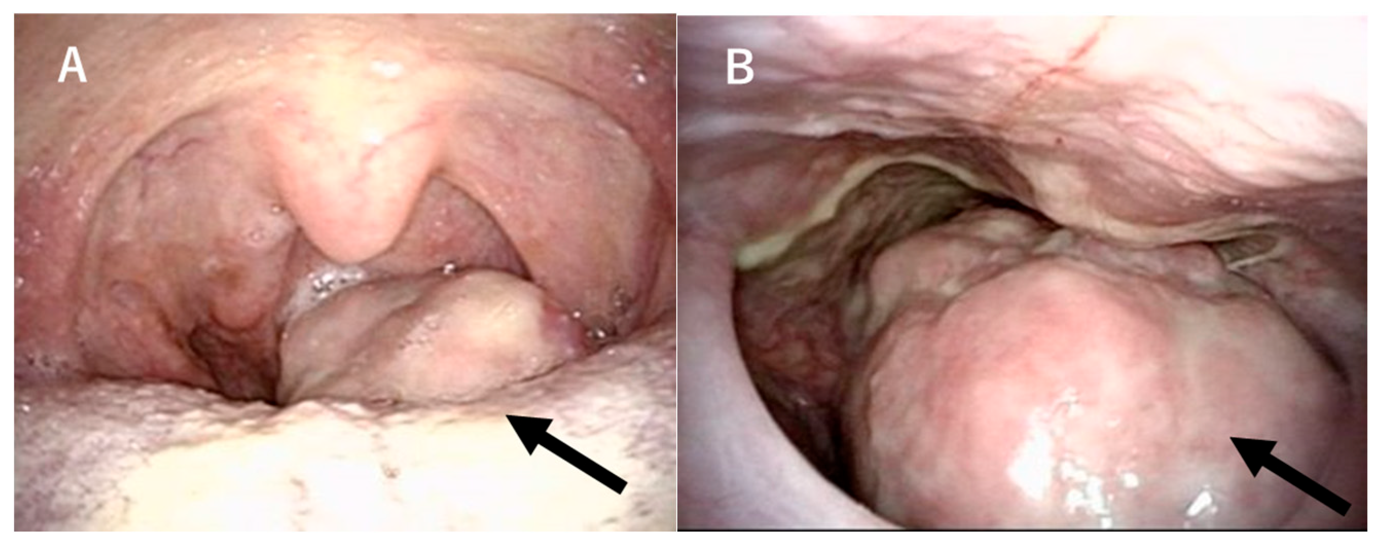 Reports 08 00058 g001