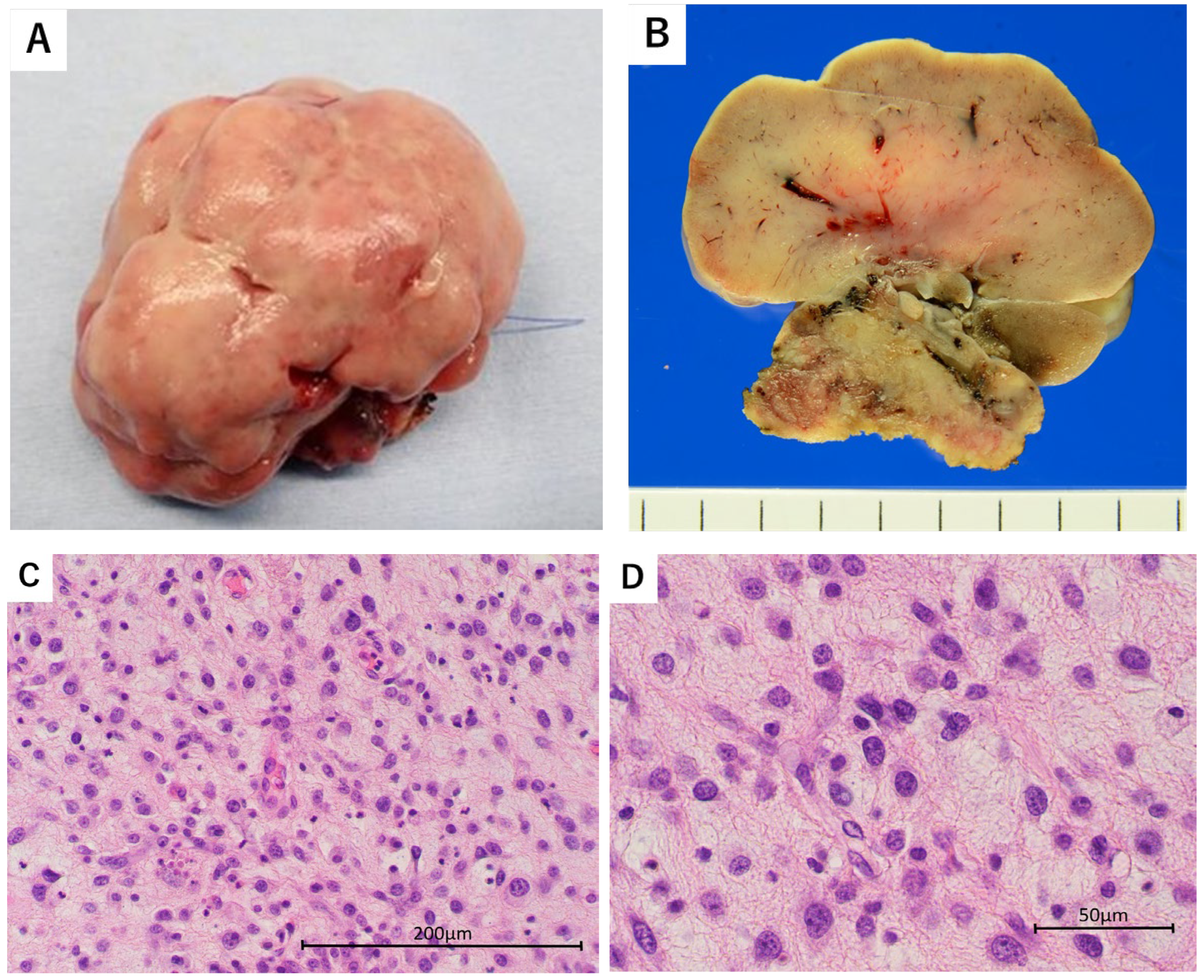 Reports 08 00058 g004