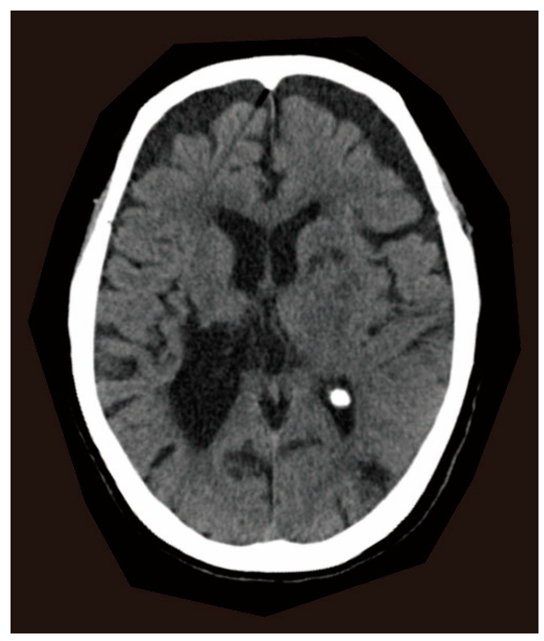 Reports 08 00062 g001