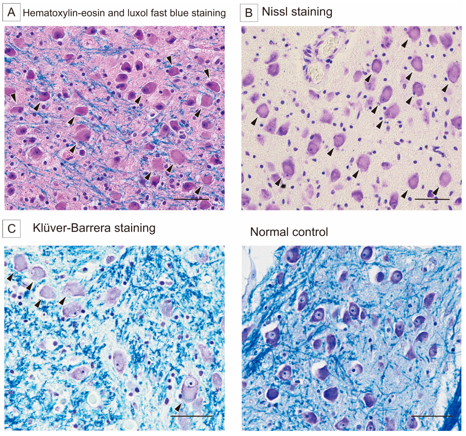 Reports 08 00062 g002