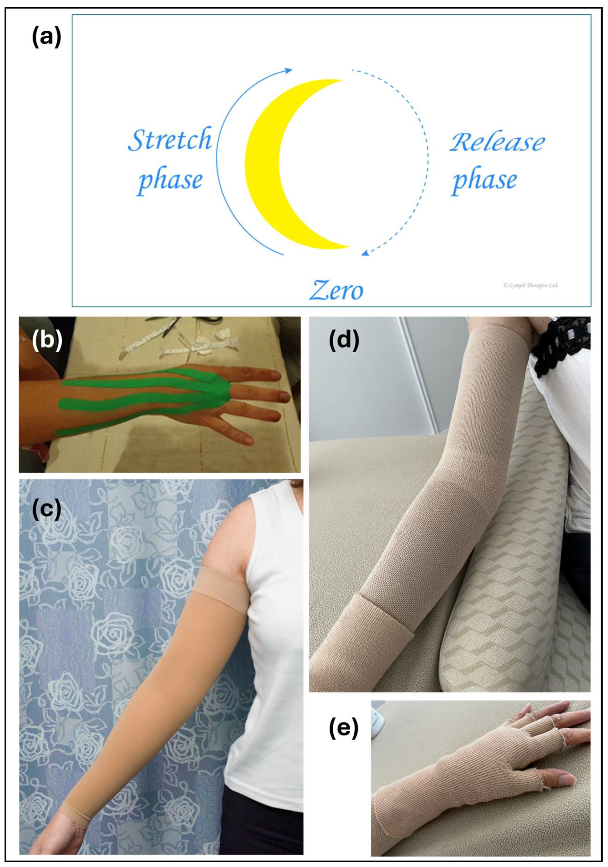 Reports 08 00063 g002