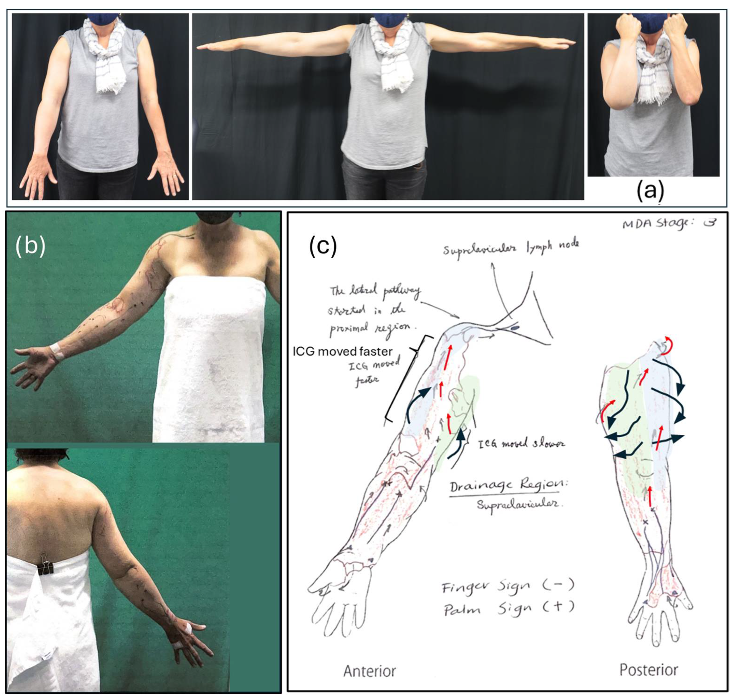 Reports 08 00063 g003