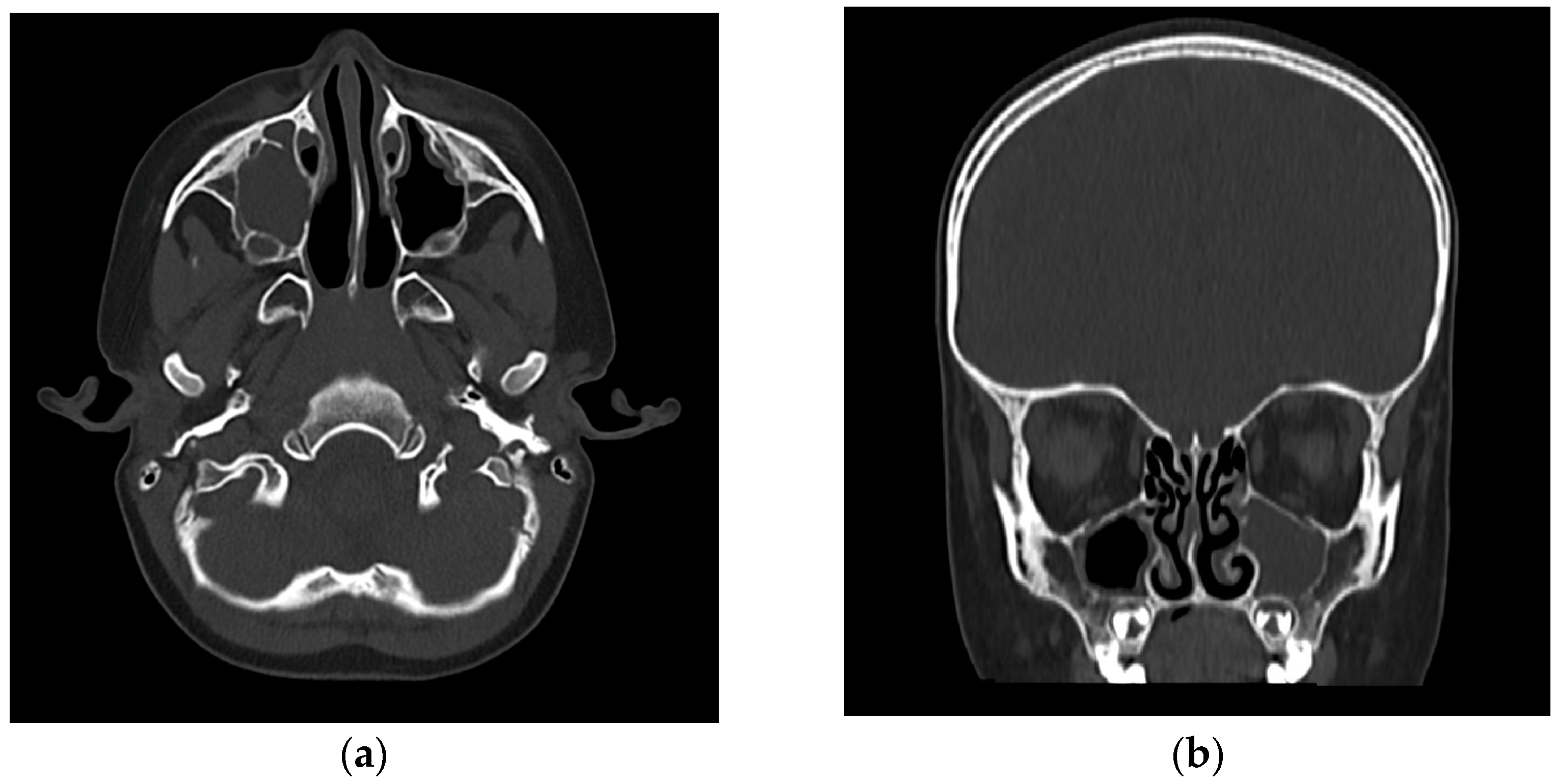 Reports 08 00066 g001 Reports 08 00066 g001