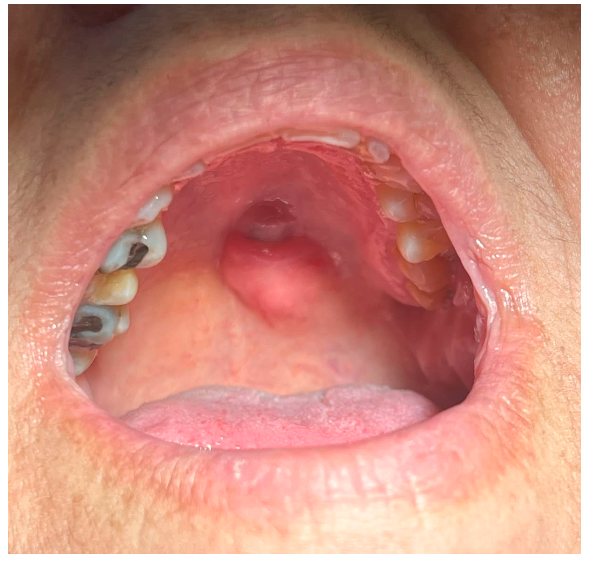 Reports 08 00070 g001 Reports 08 00070 g001