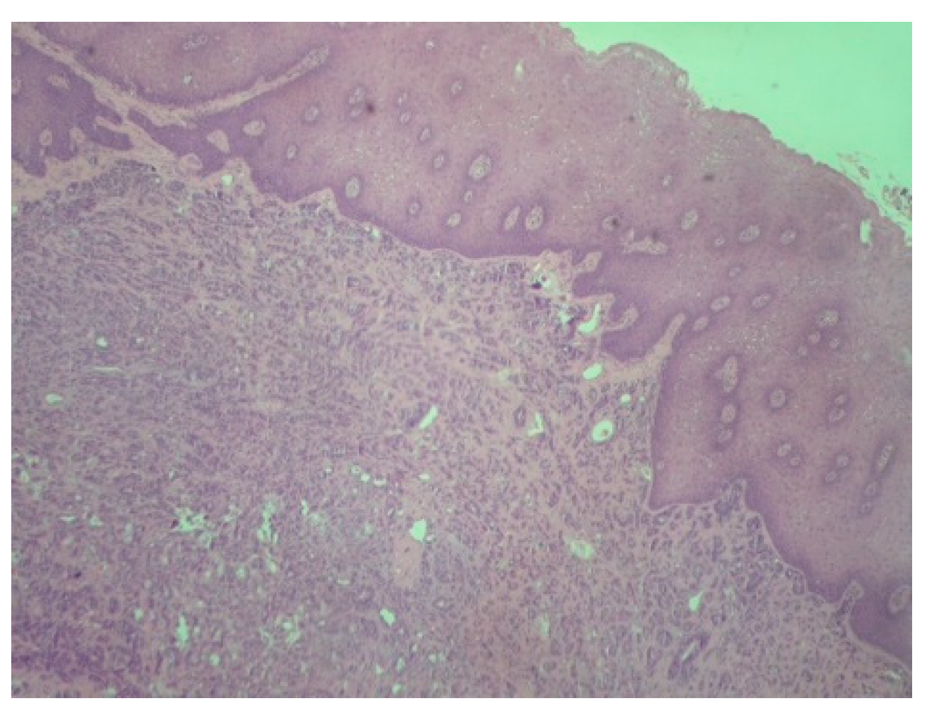 Reports 08 00070 g002 Reports 08 00070 g002