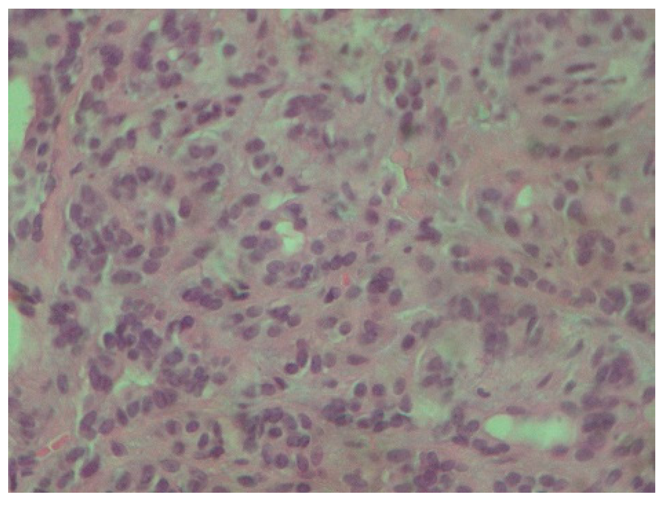 Reports 08 00070 g003 Reports 08 00070 g003