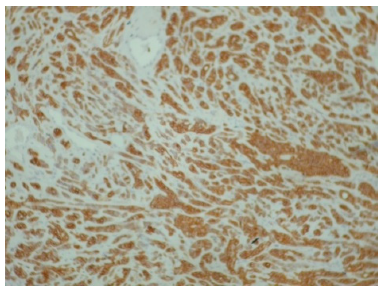 Reports 08 00070 g004 Reports 08 00070 g004