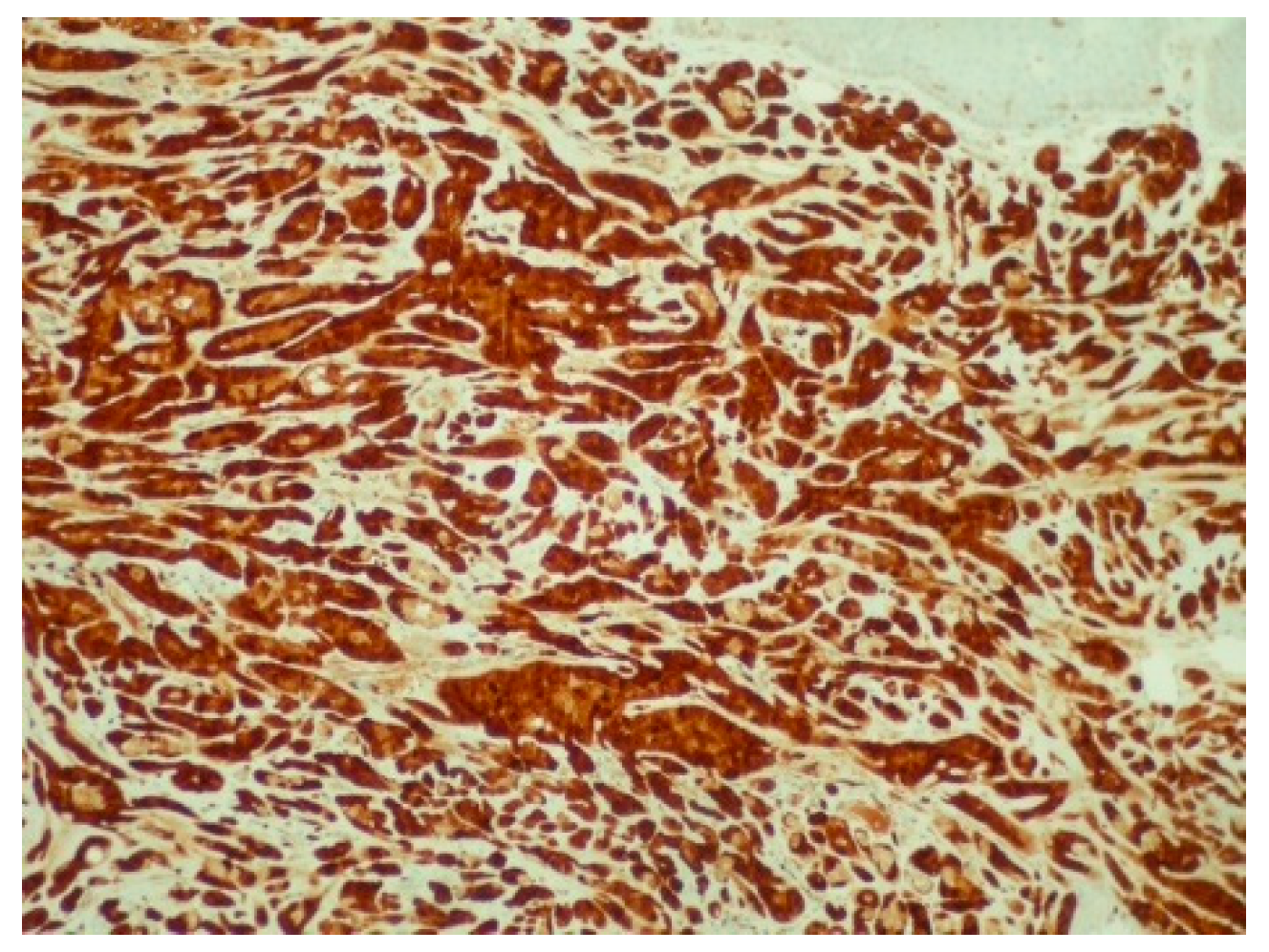 Reports 08 00070 g005 Reports 08 00070 g005