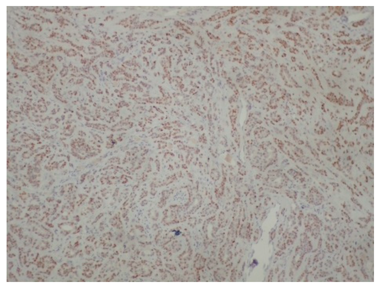 Reports 08 00070 g006 Reports 08 00070 g006