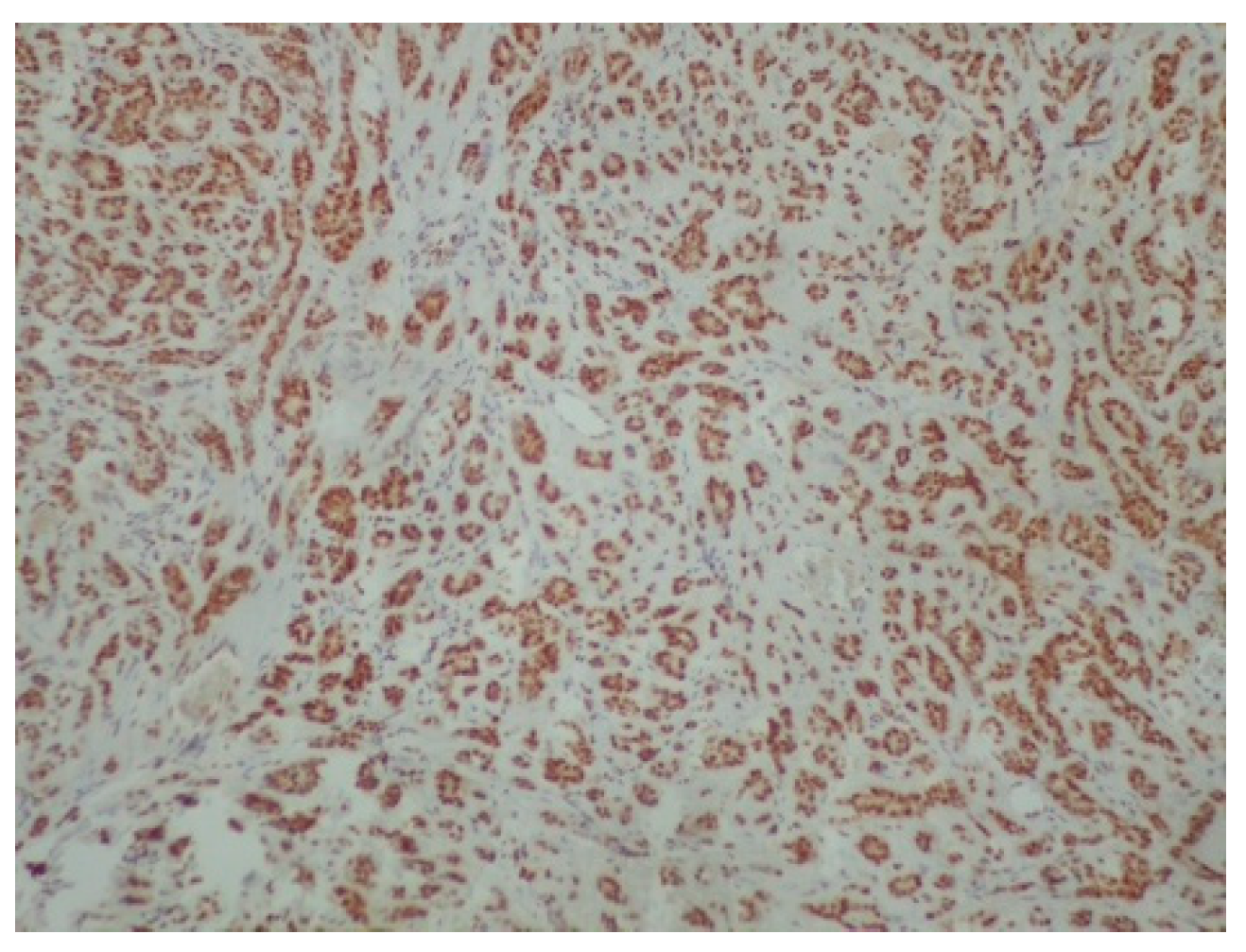 Reports 08 00070 g007 Reports 08 00070 g007