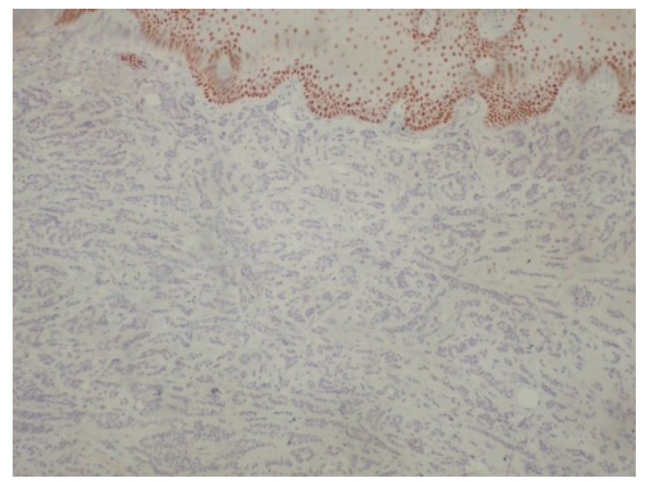 Reports 08 00070 g008 Reports 08 00070 g008