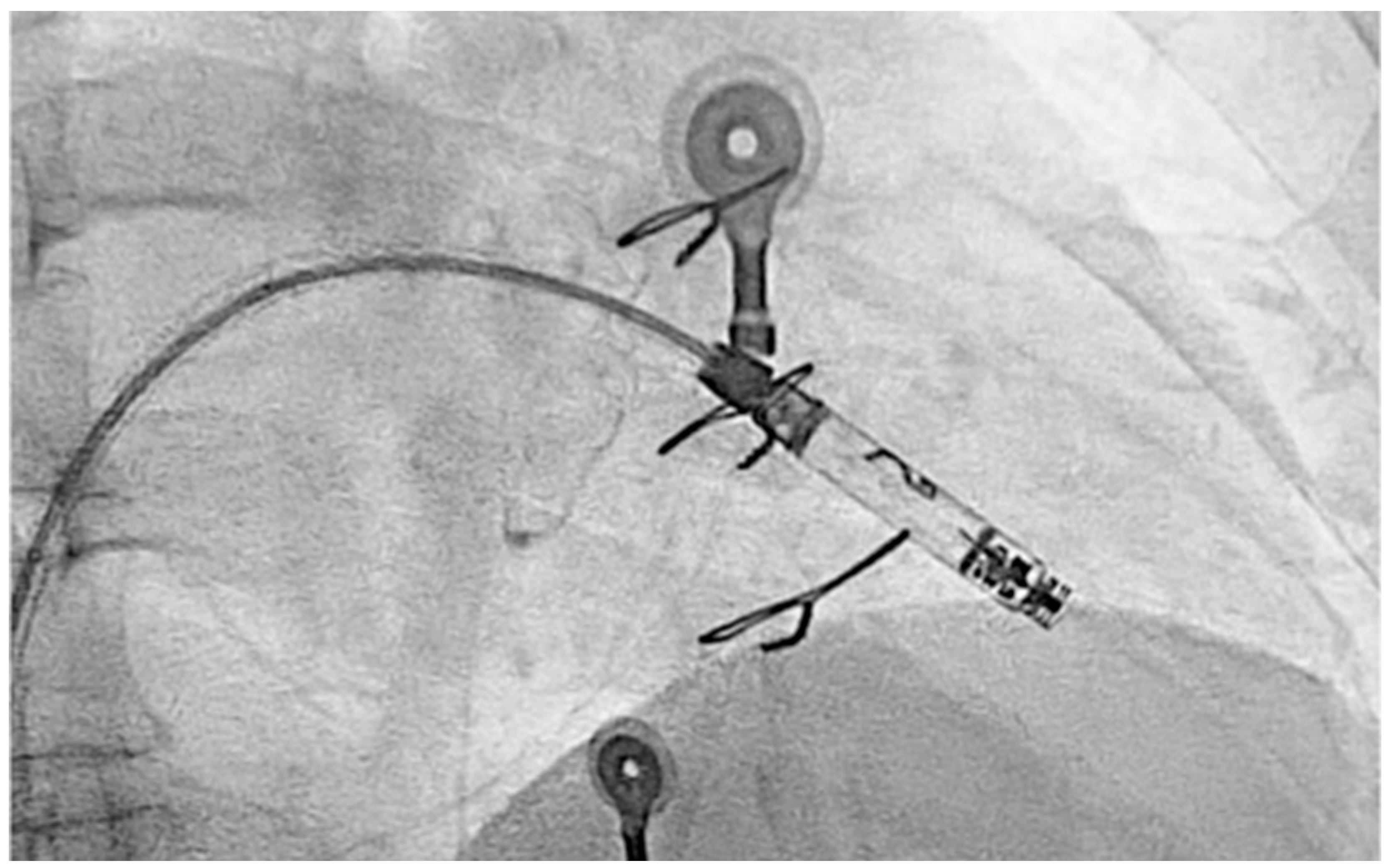 Reports 08 00072 g005 Reports 08 00072 g005