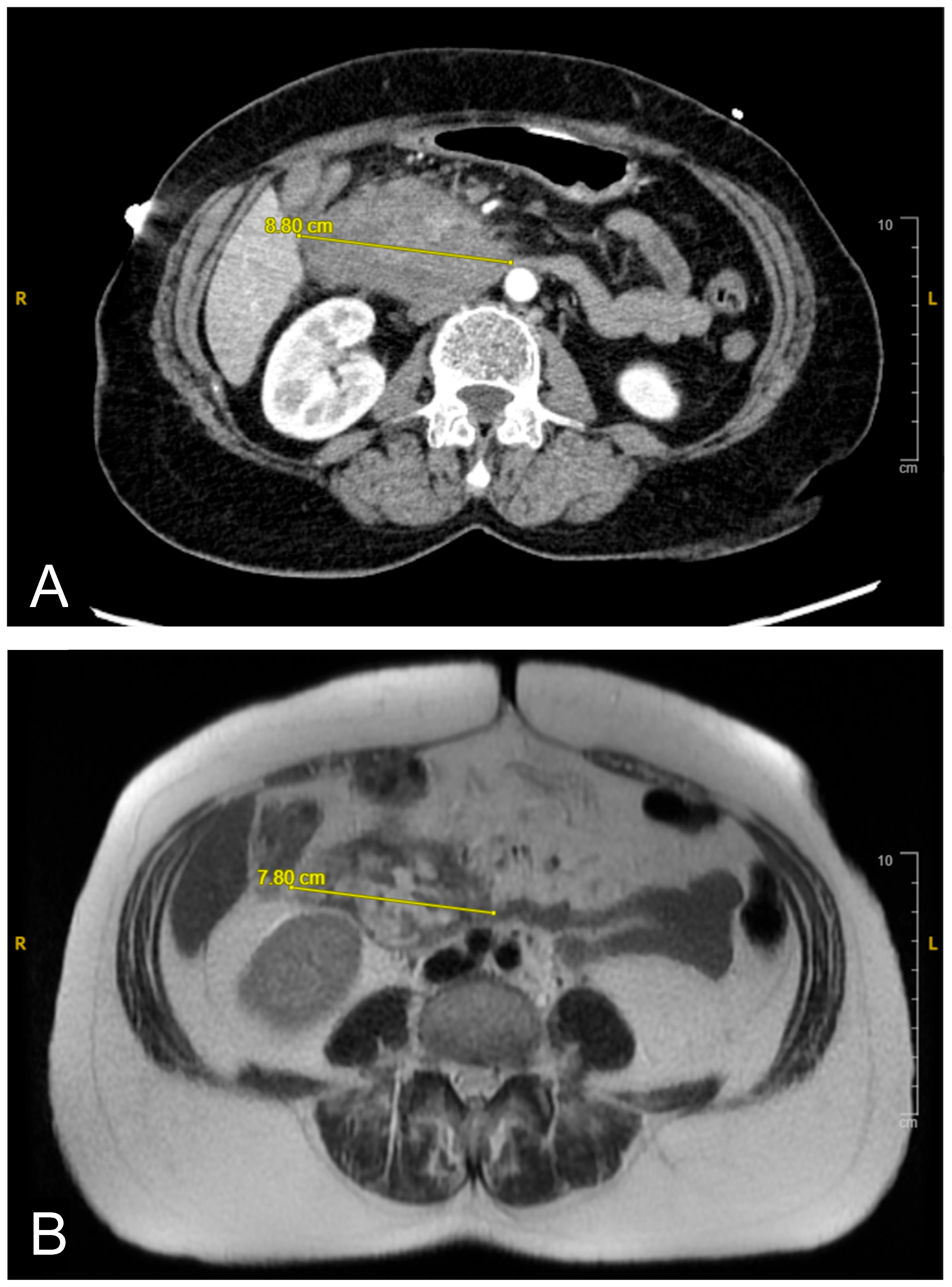 Reports 08 00073 g001