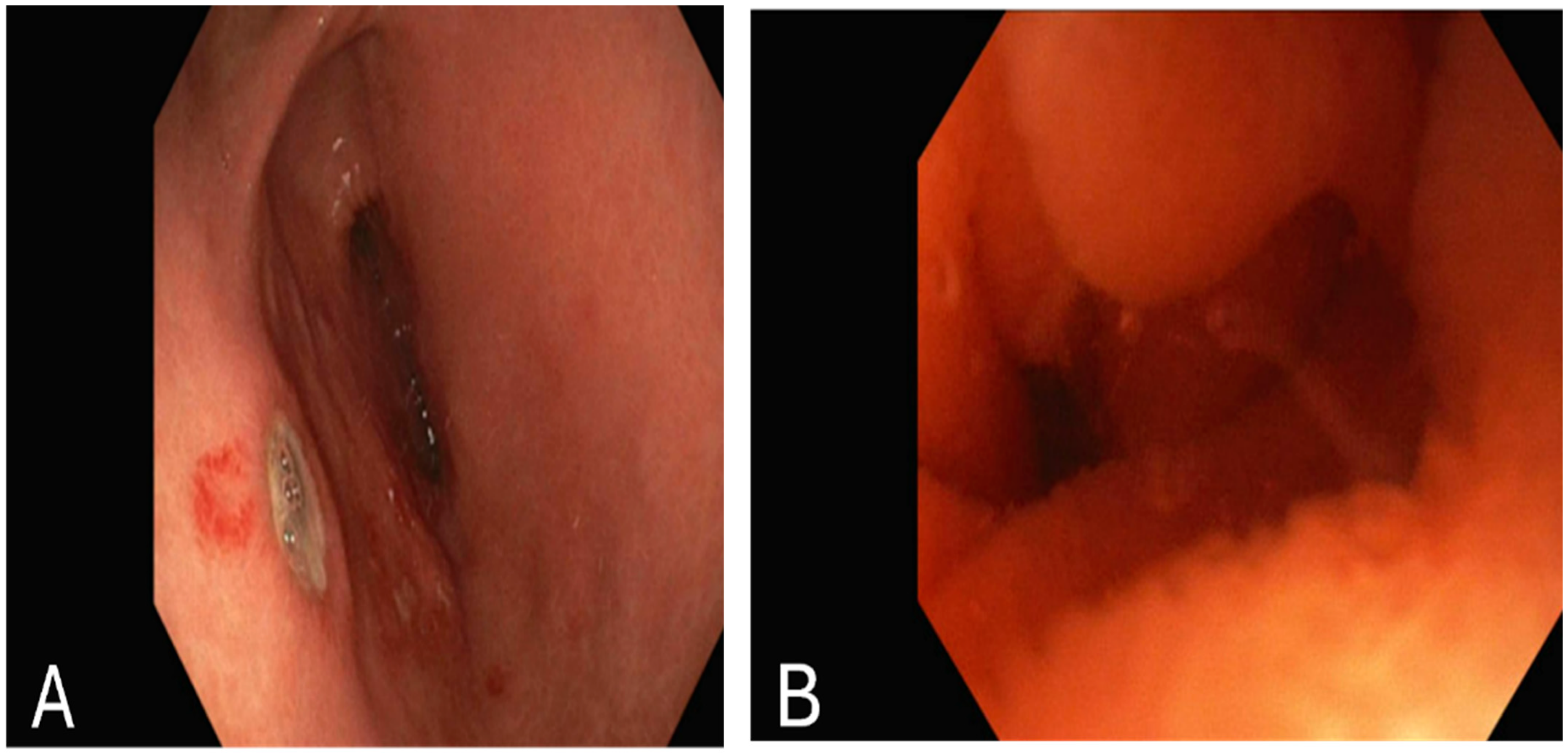 Reports 08 00073 g002