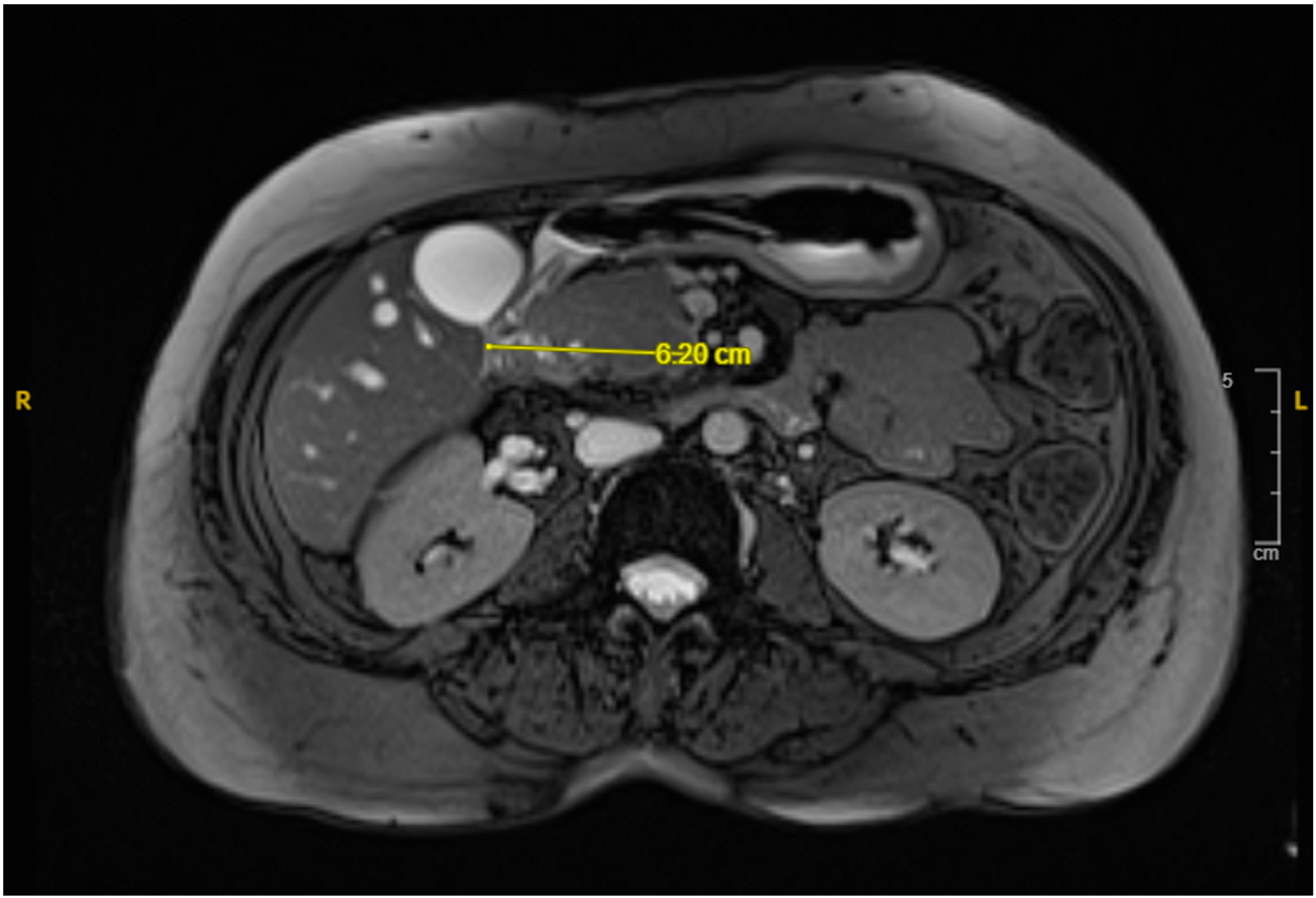 Reports 08 00073 g003