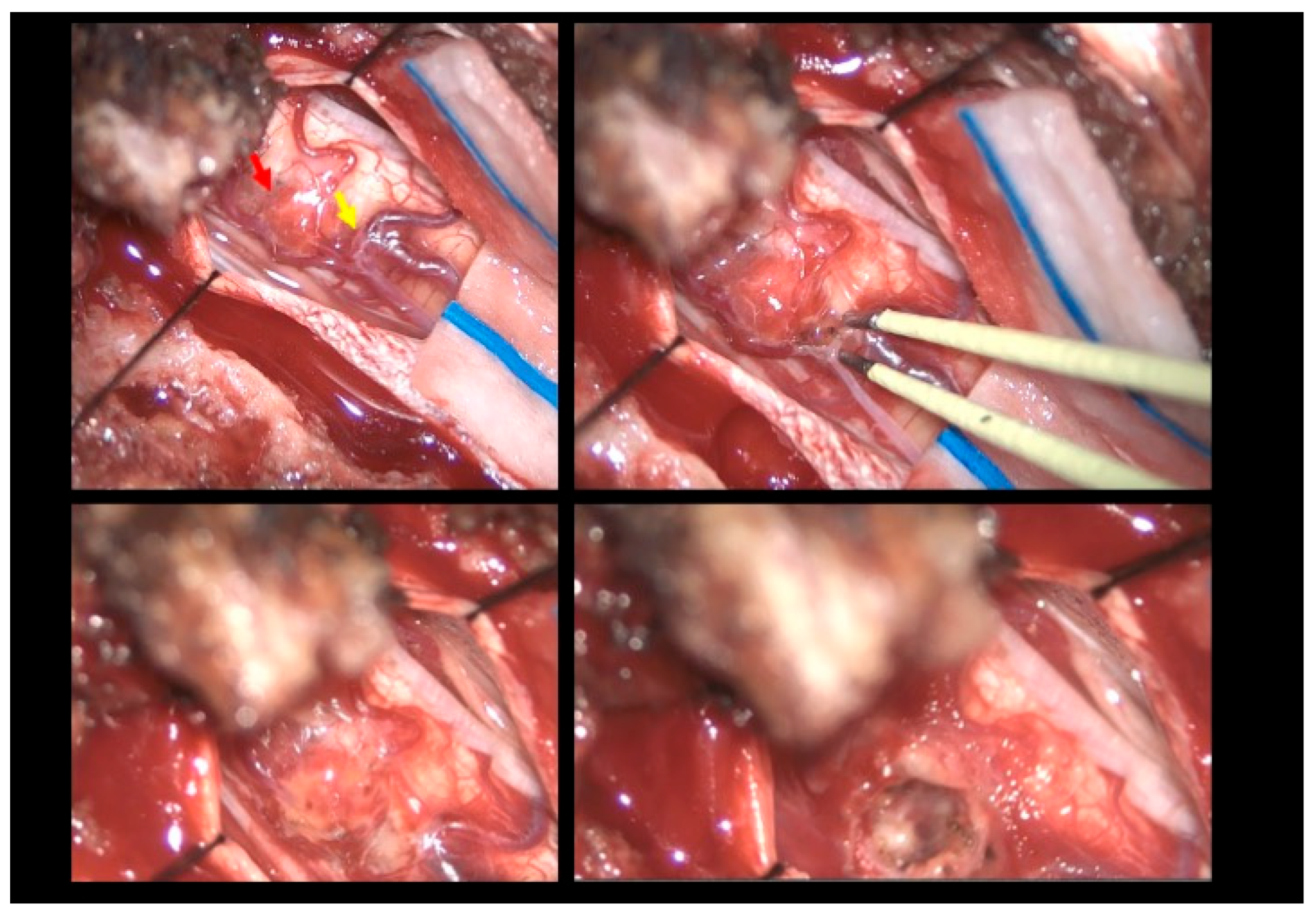 Reports 08 00074 g003