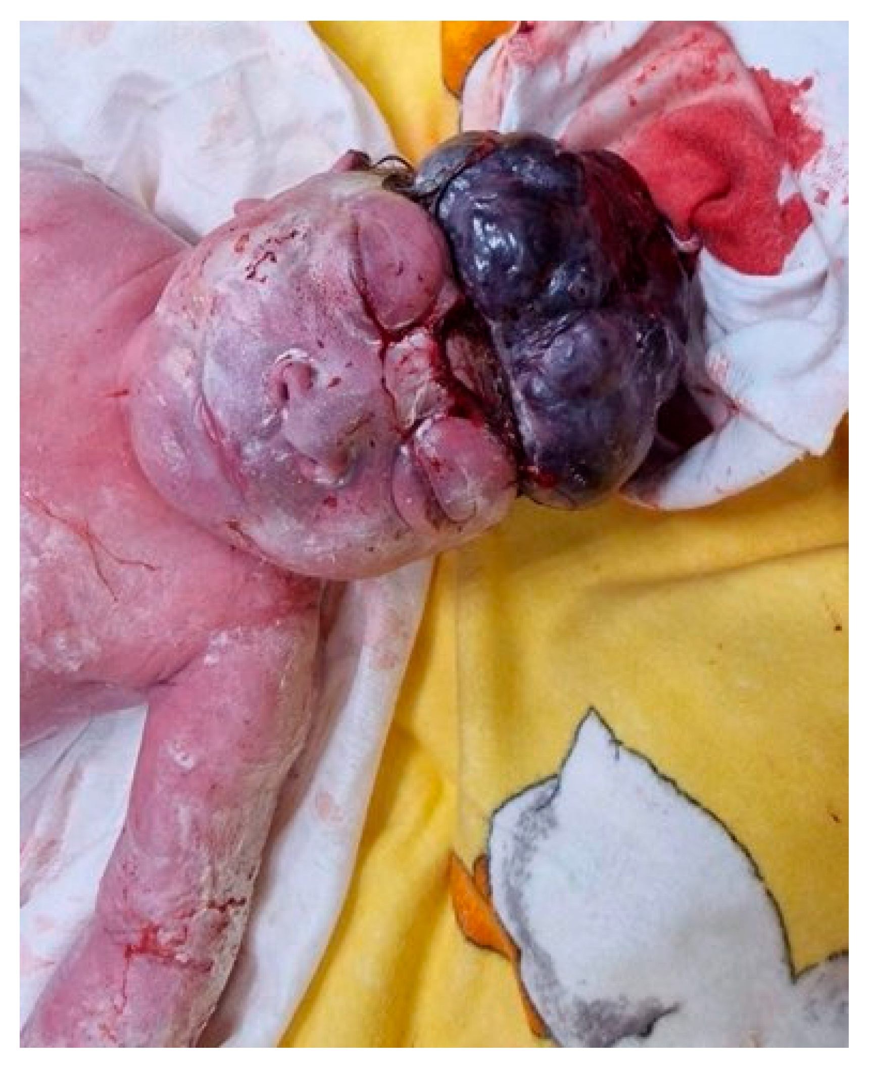 Reports 08 00075 g002