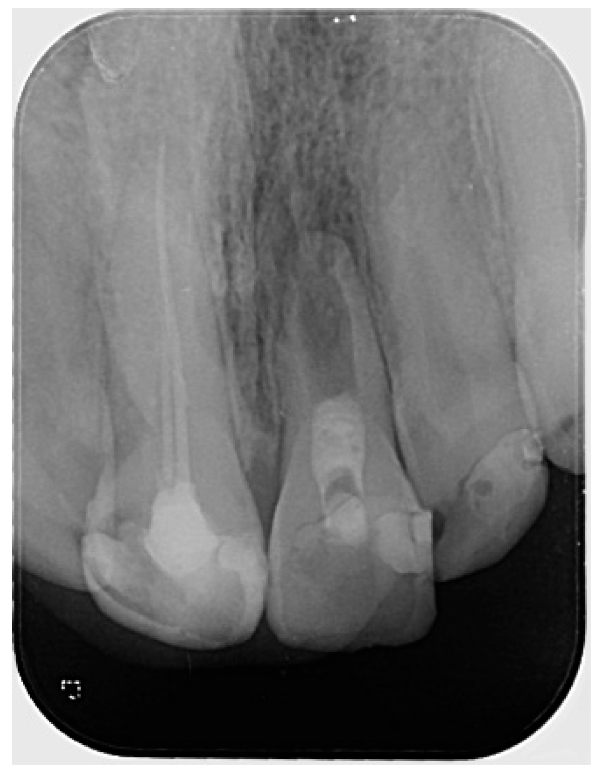 Reports 08 00076 g001